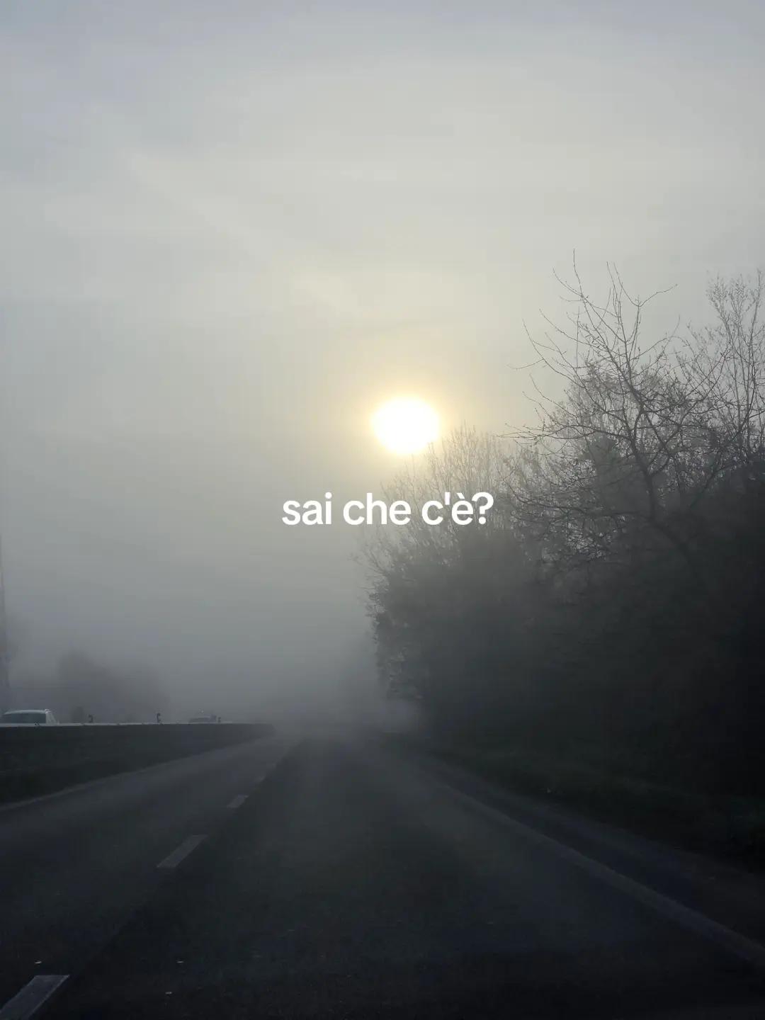 @fabiostuppiaa