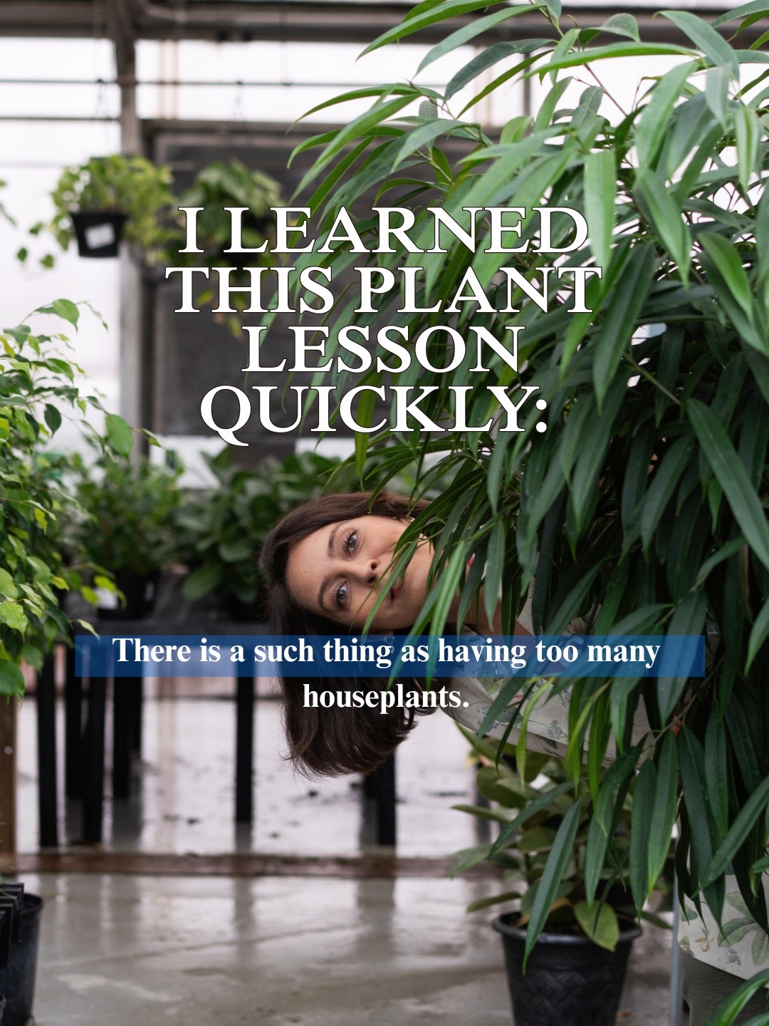 @PlantswithKrystal