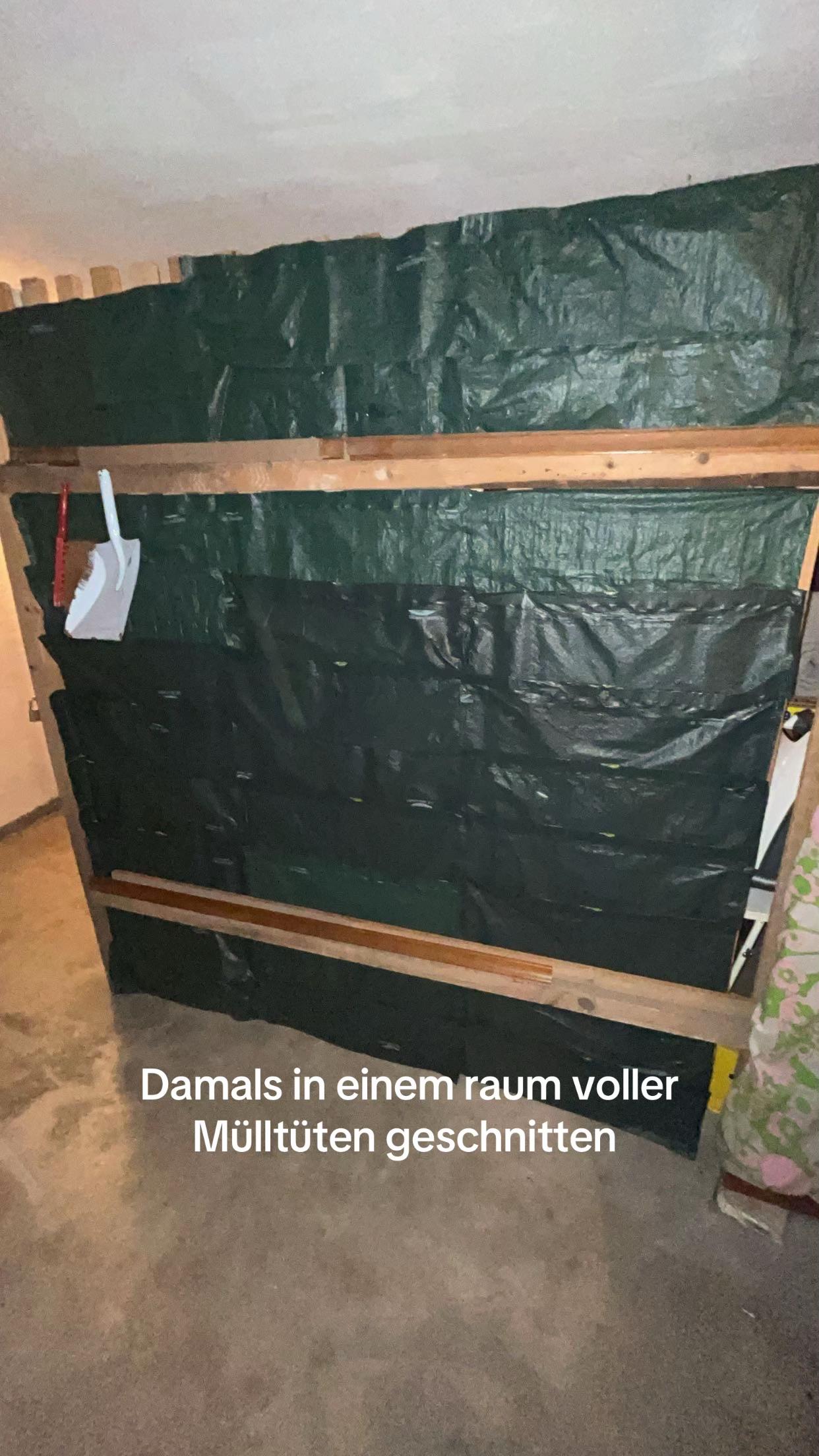@dani.cut.rs