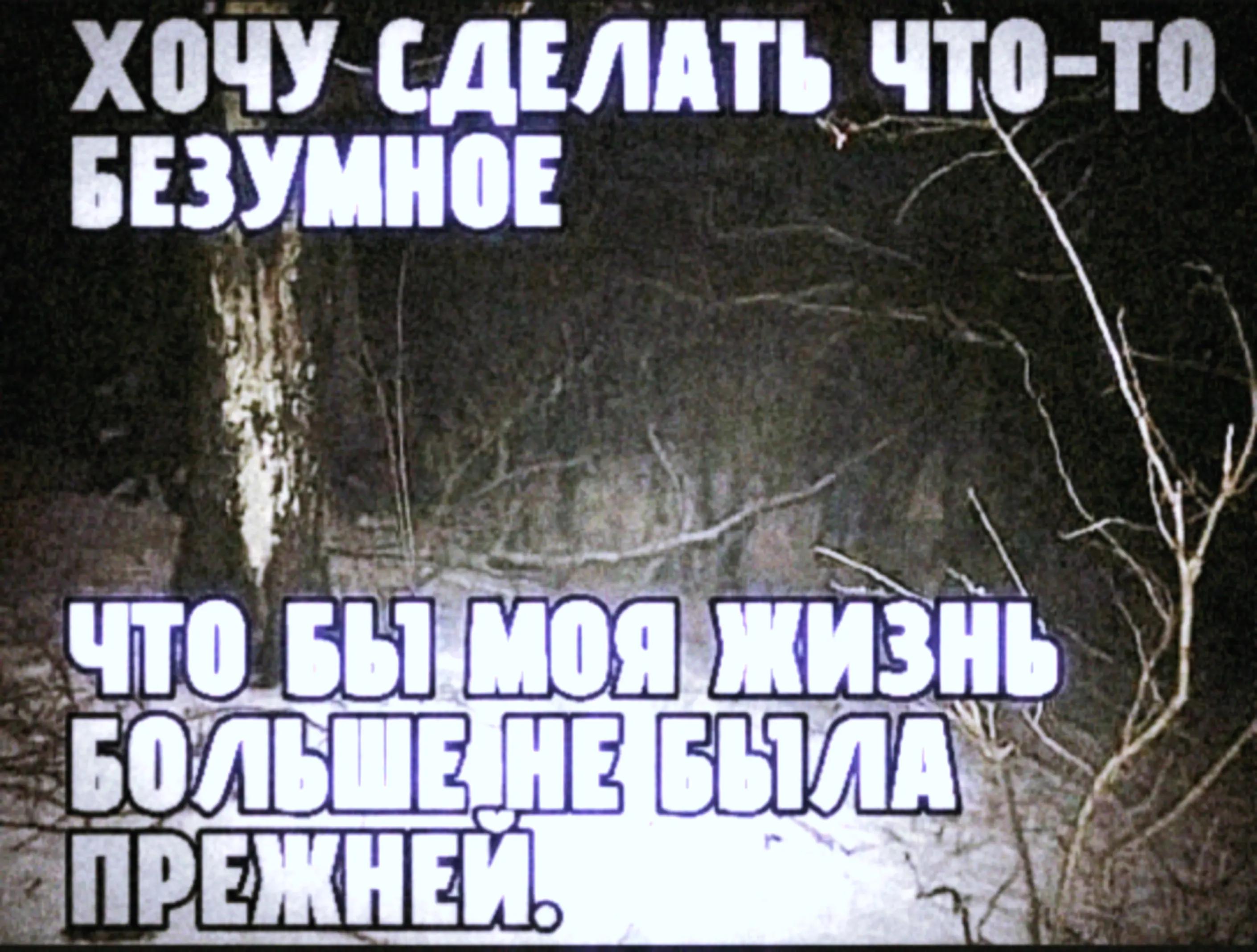 @Hund Von Togliatti.