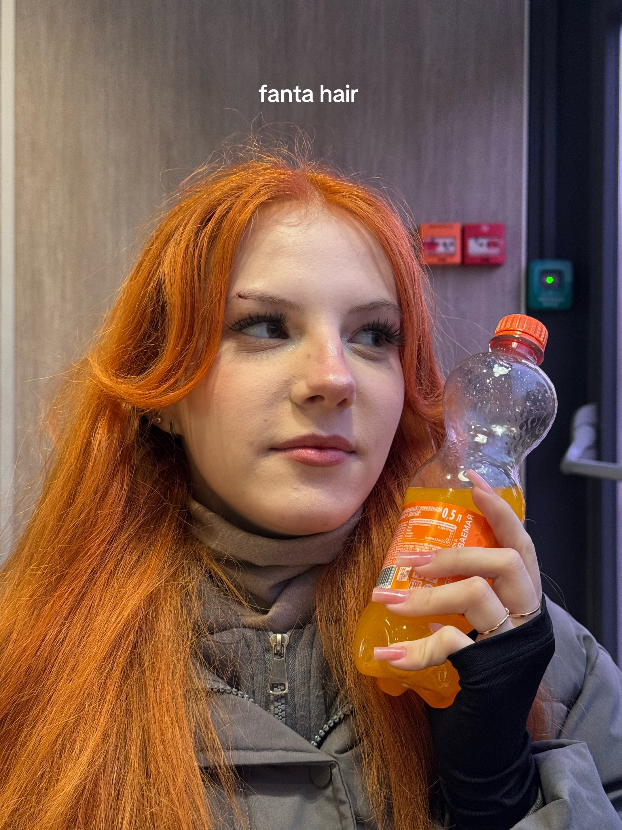 @майер