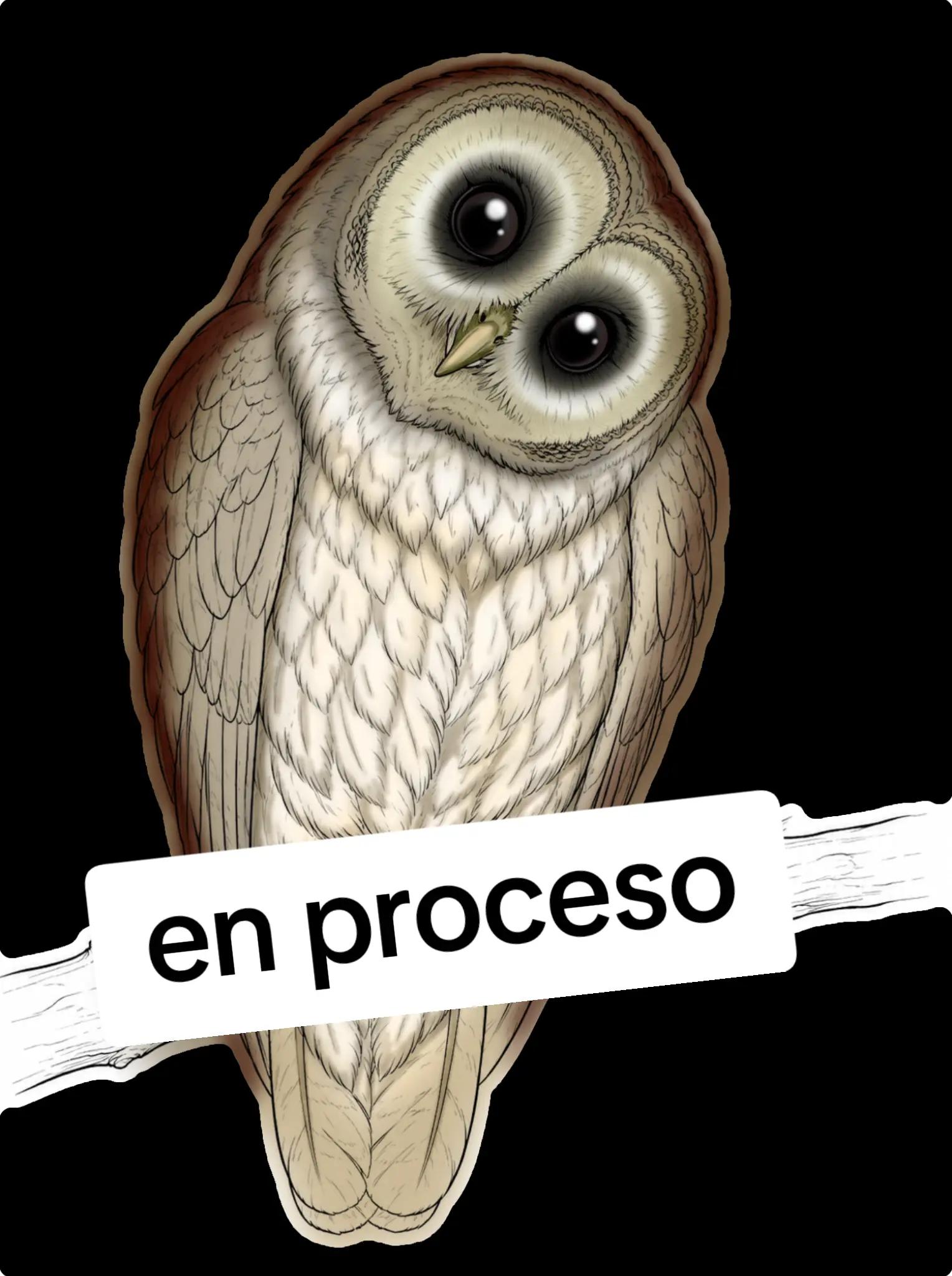 @Brenda Yanina Fuenza
