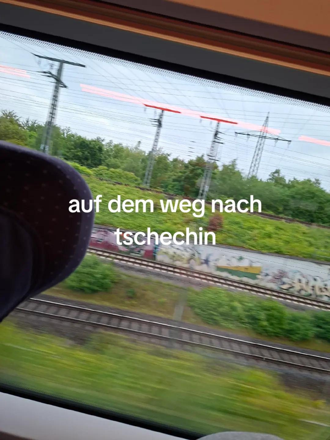 @das blaue lama