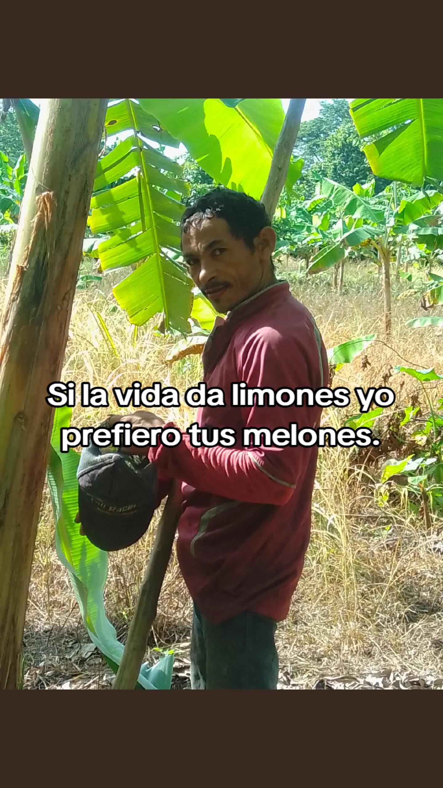 @kapetillo