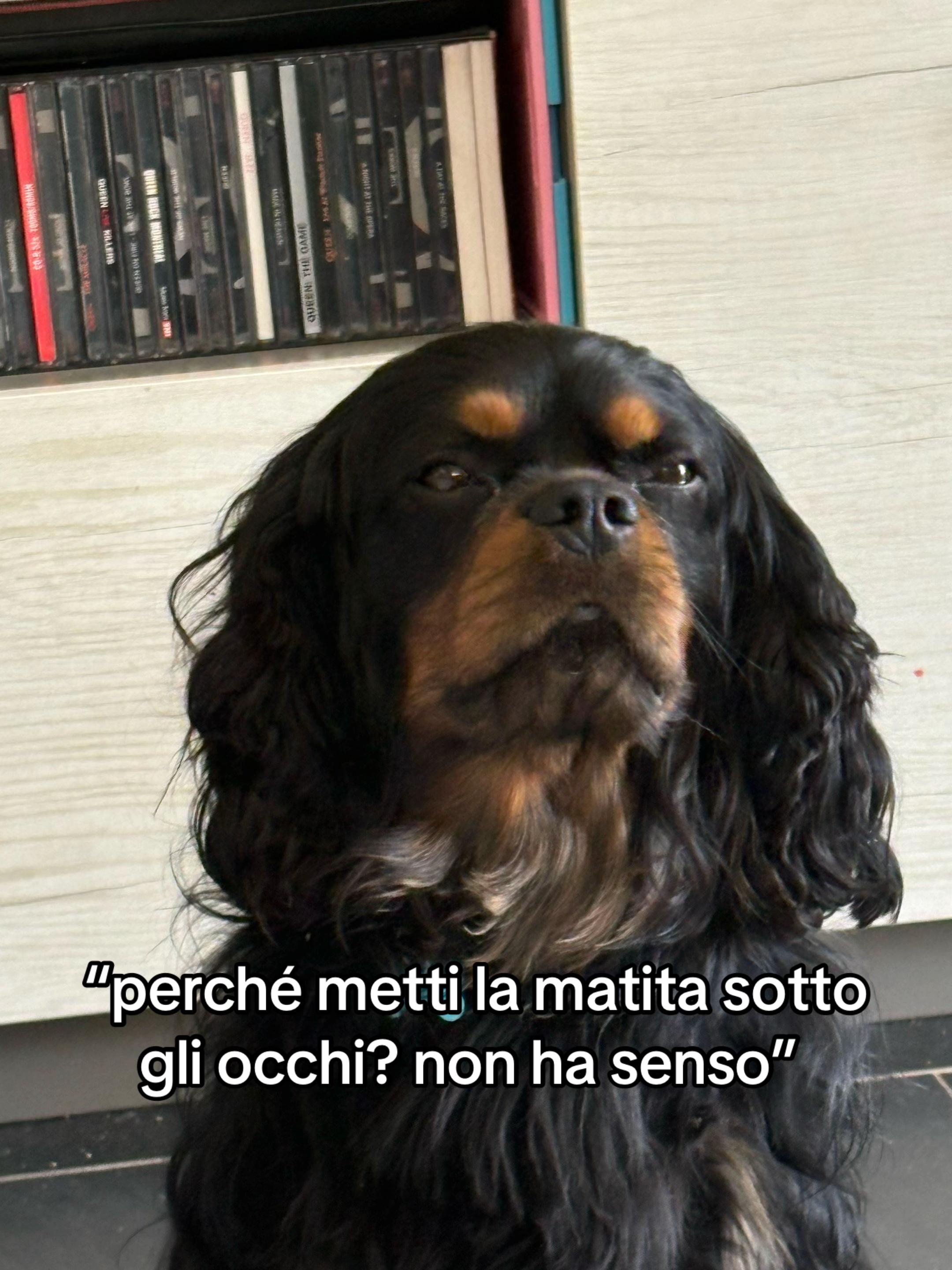 @✨ginevra✨
