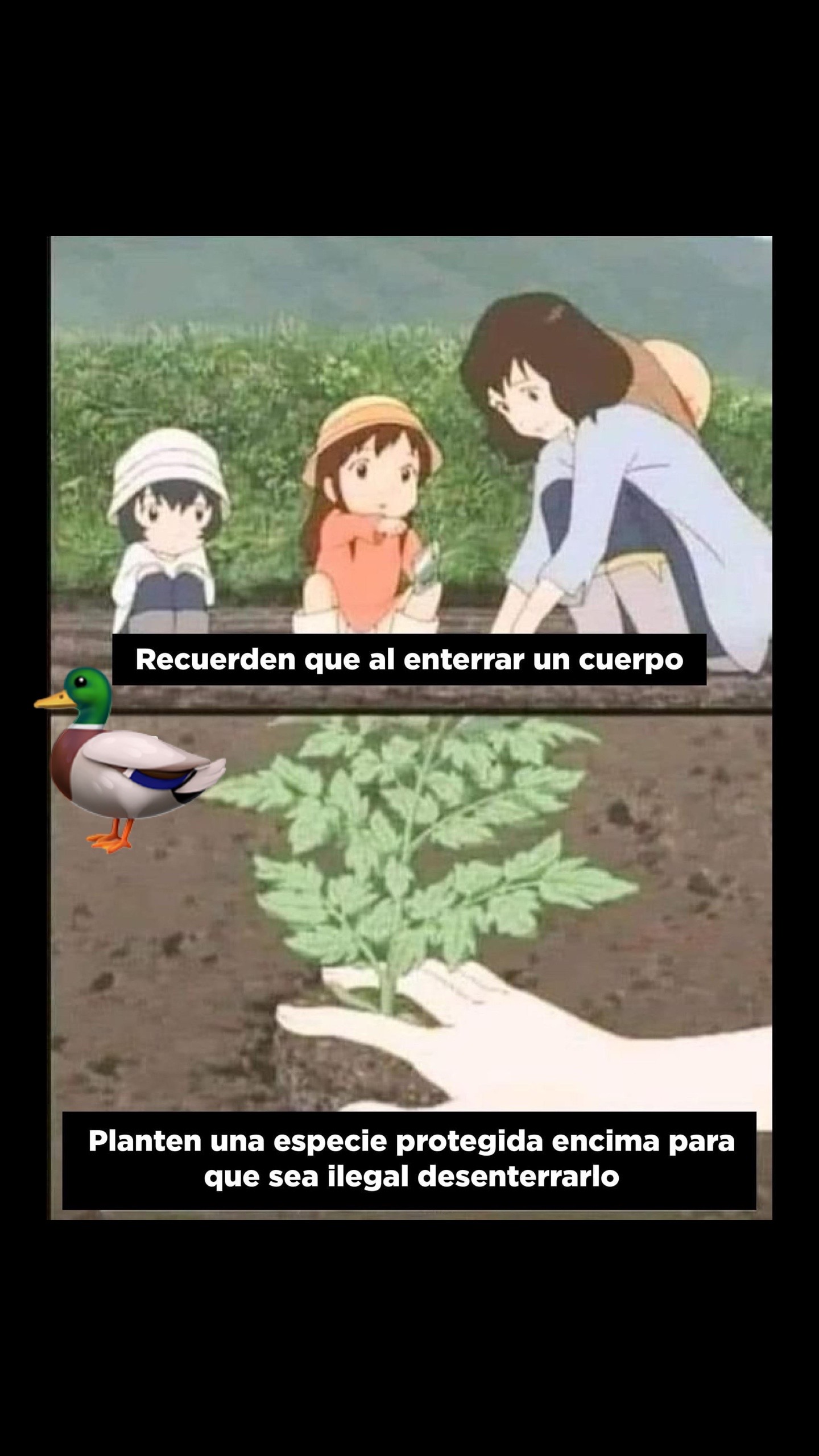 @Contenido variado