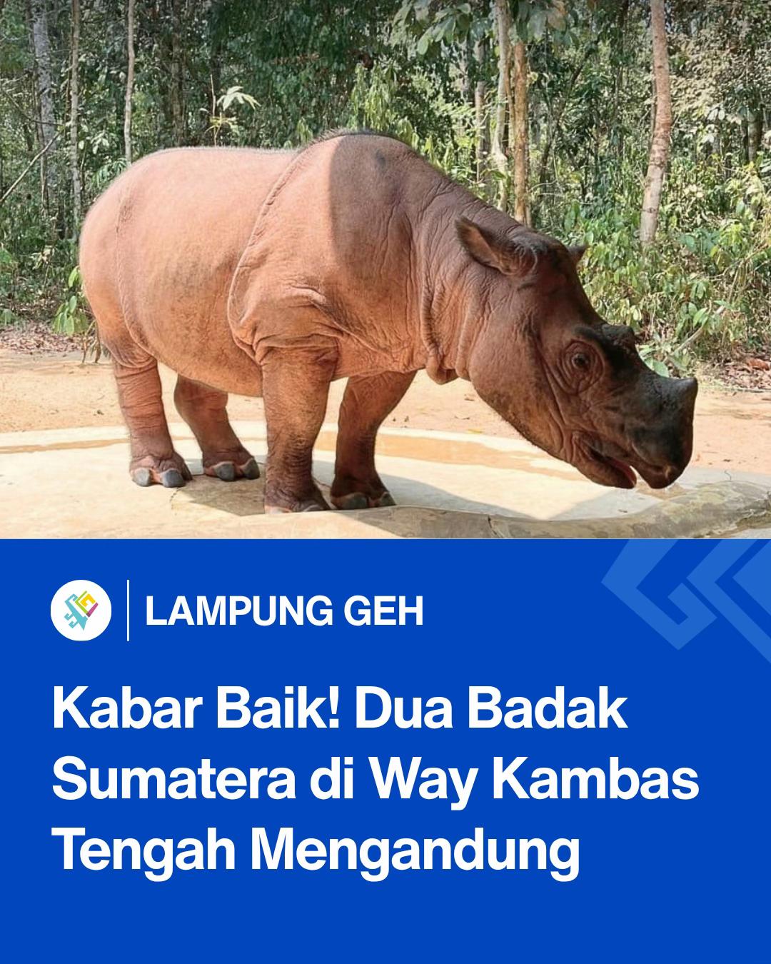 @Lampung Geh!