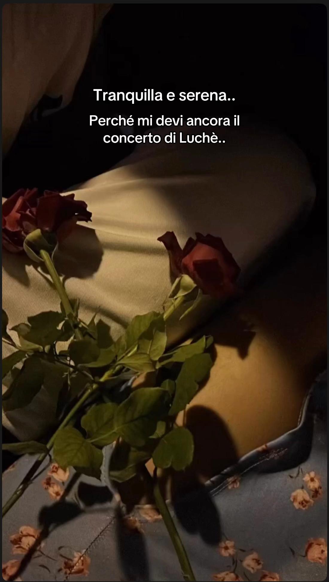 @cleliamasiello
