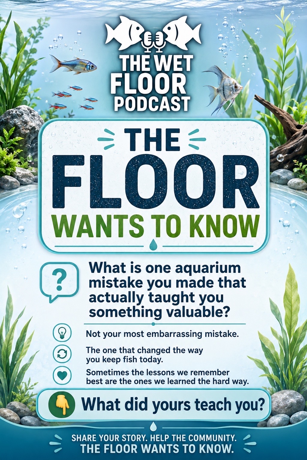 @aquaintuitions