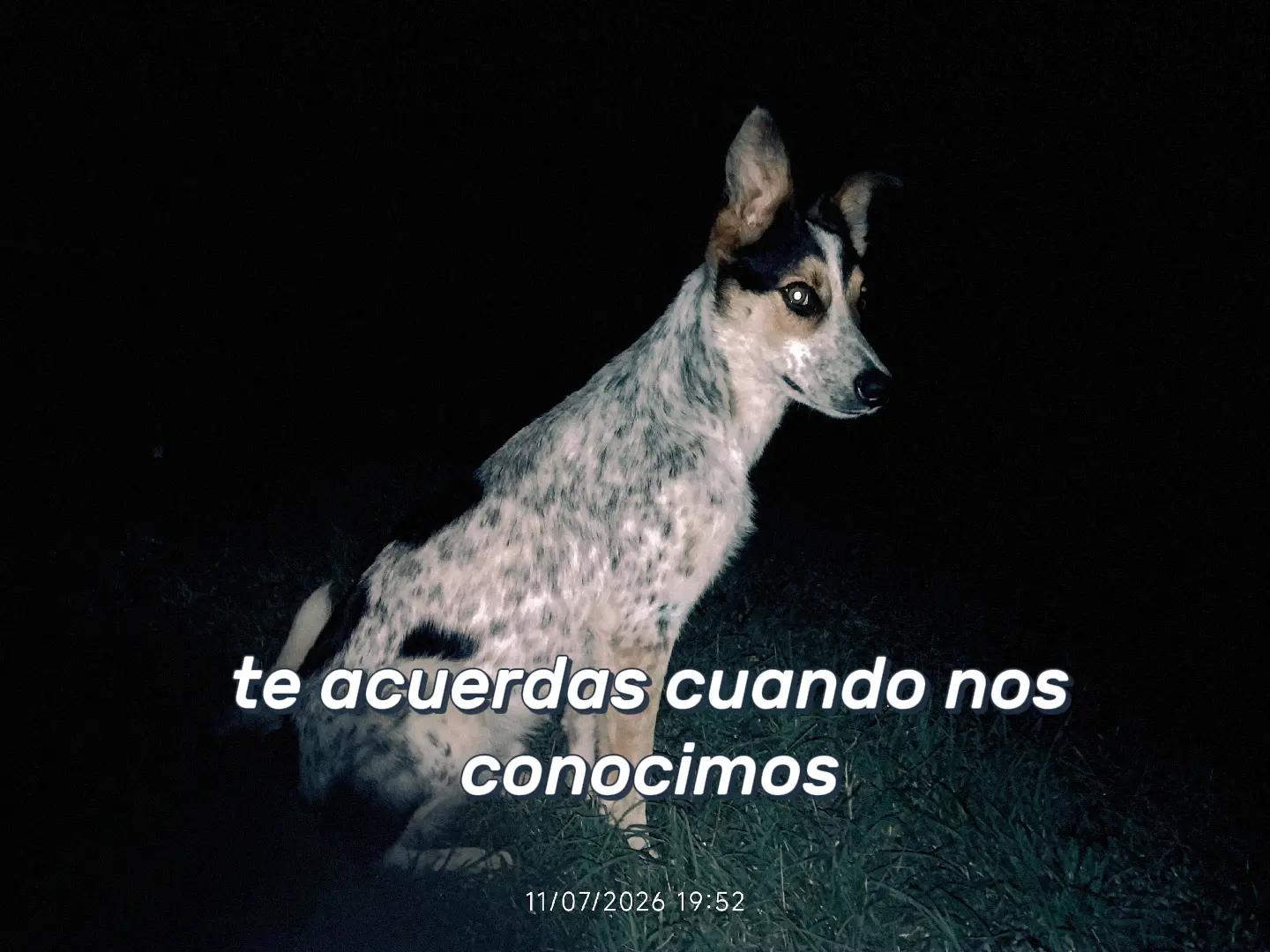 @🌎SALVEMOS.AL_PLANETA🌎