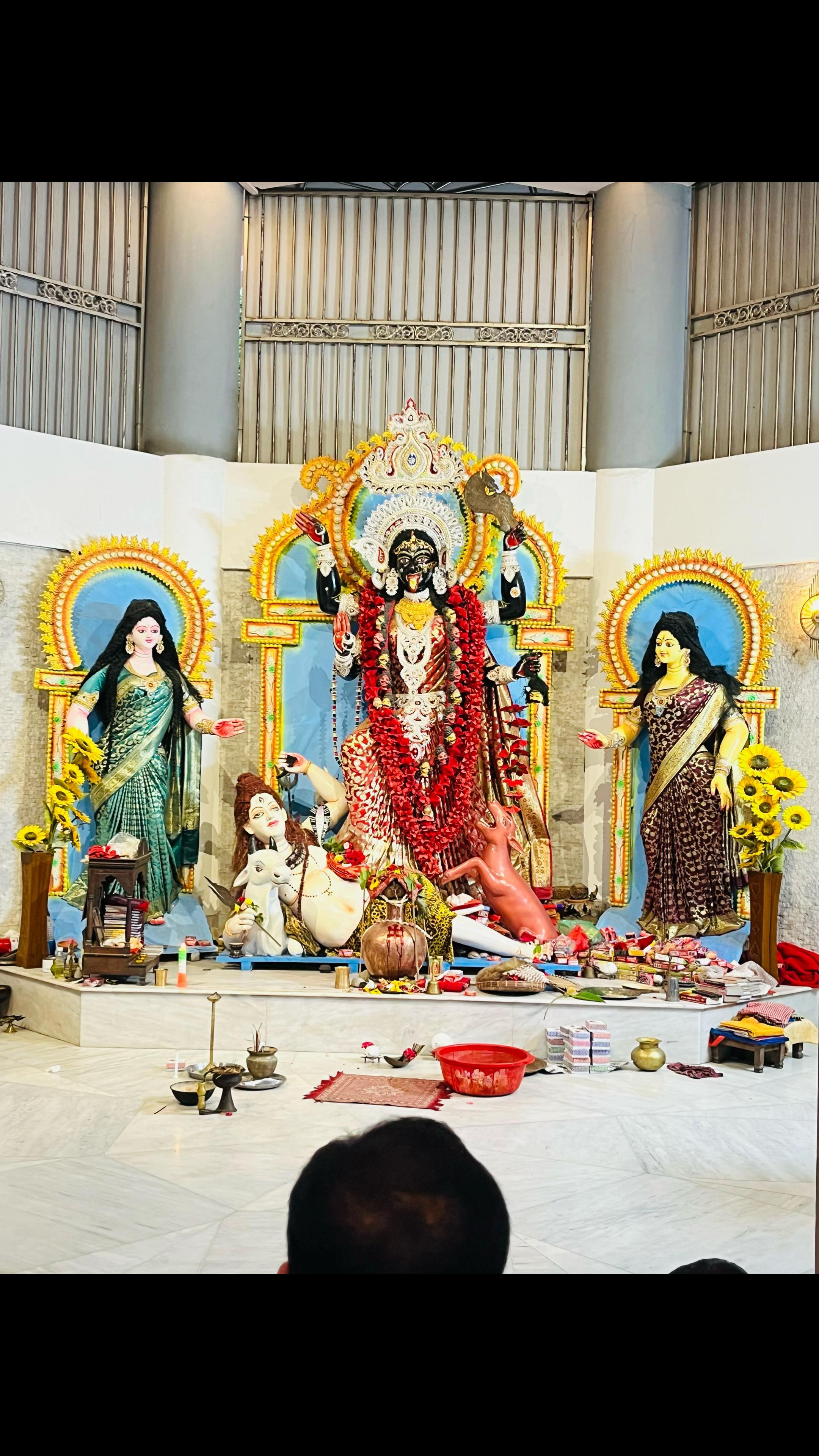 @Bijoy Poddar