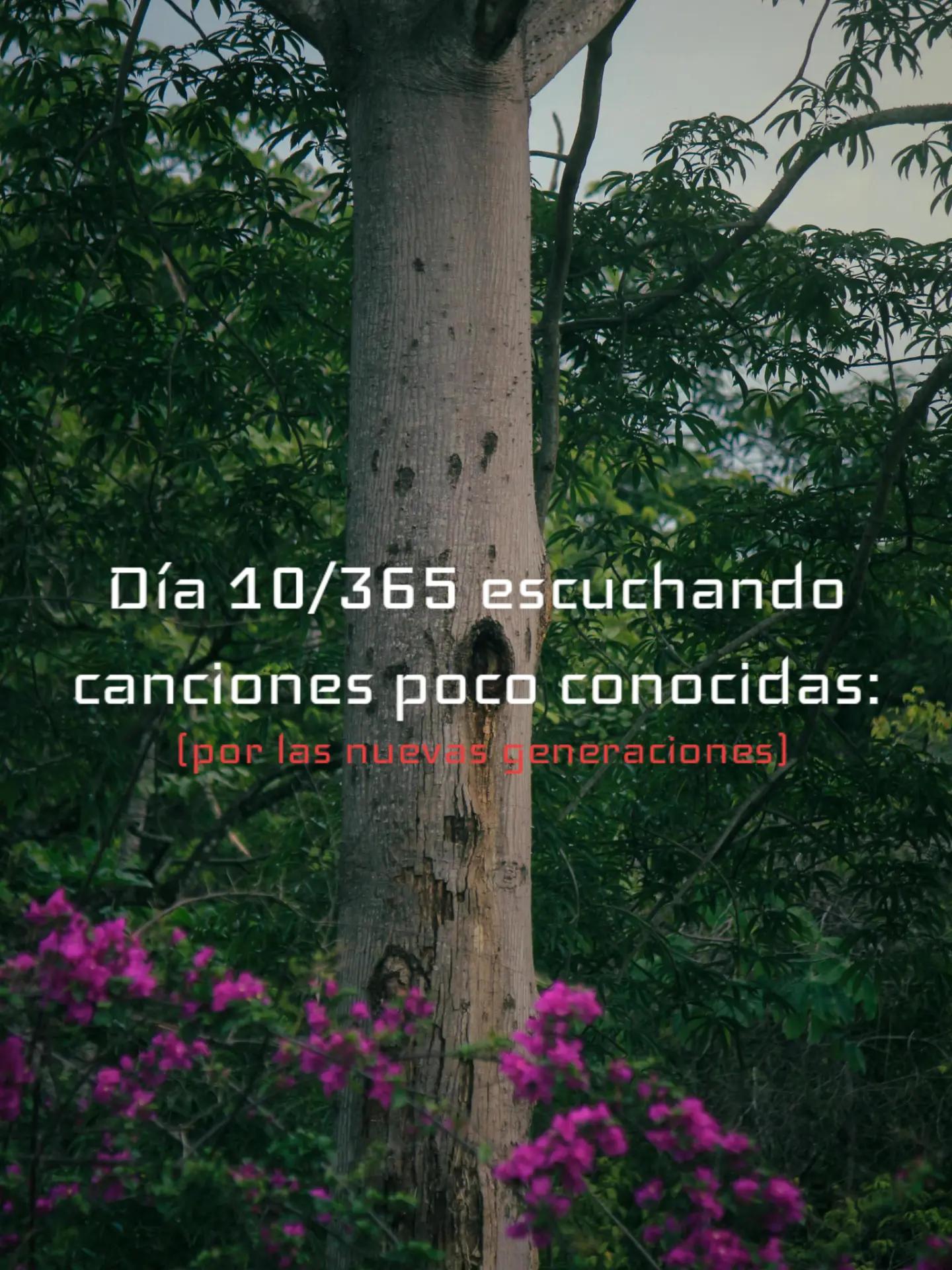 @joseAHP🖤⃝🦋