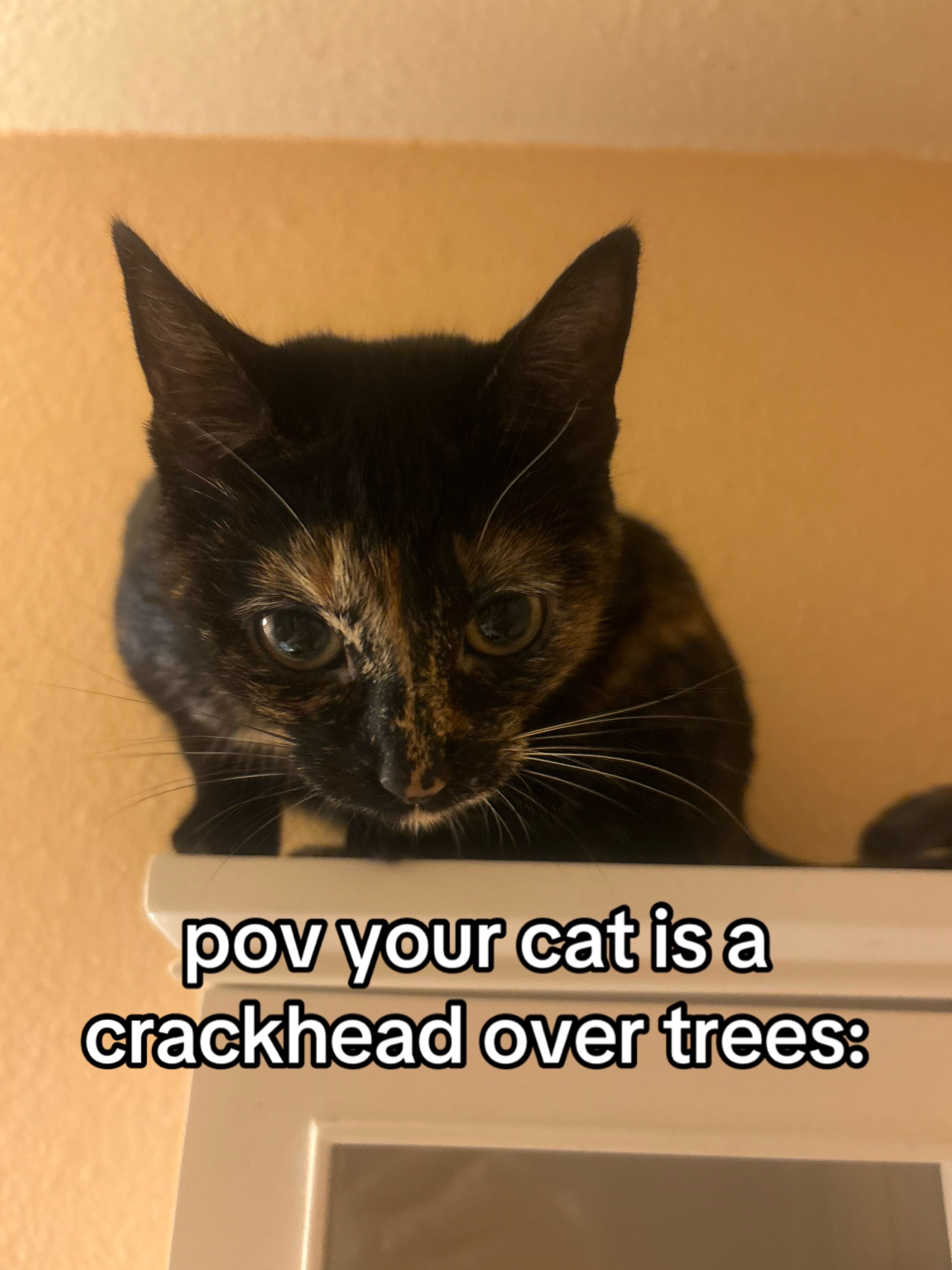 @jaylovesbugs
