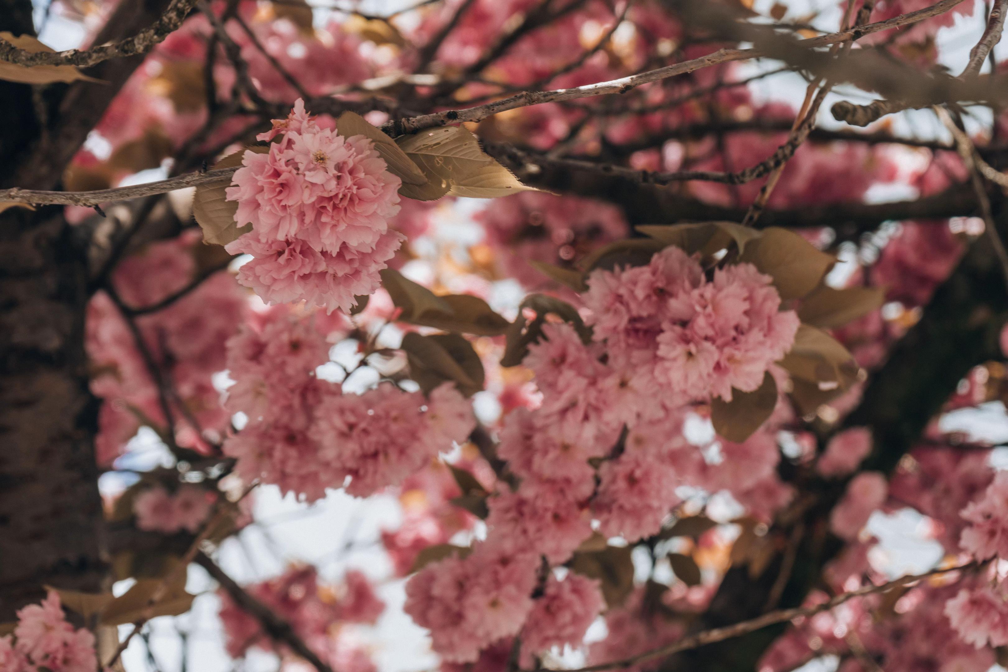 @Andreea Photography ๐ท๐ผ