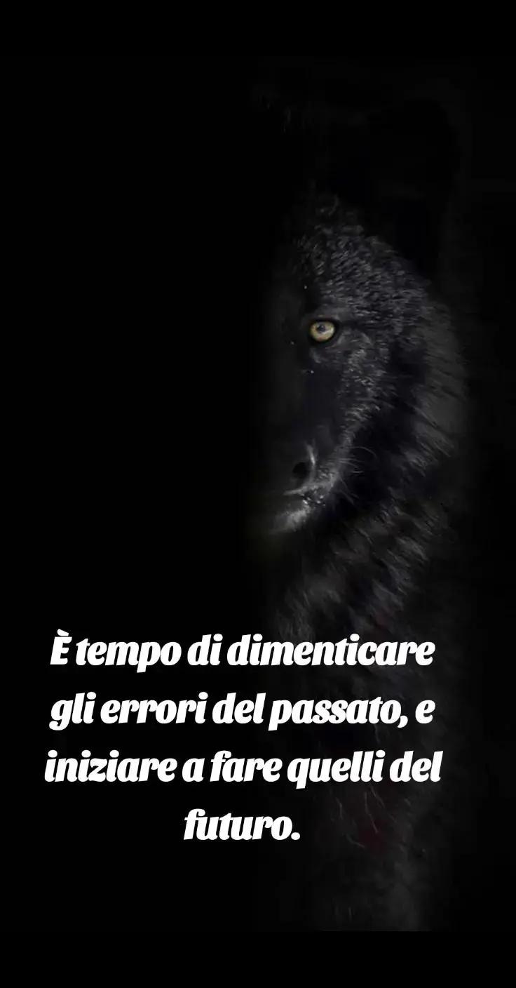 @🐺🗽Crazy Wolf.