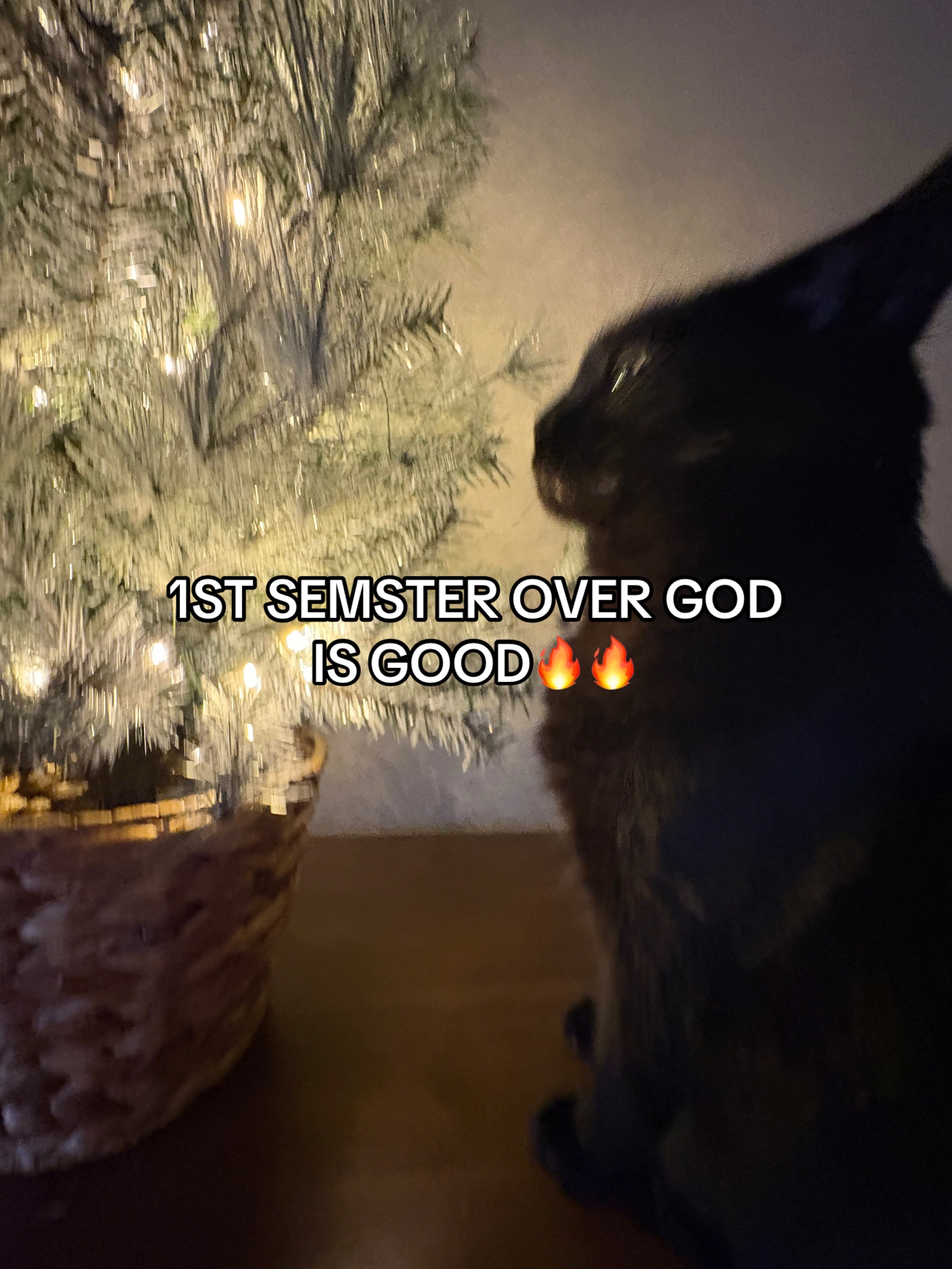 @meow master