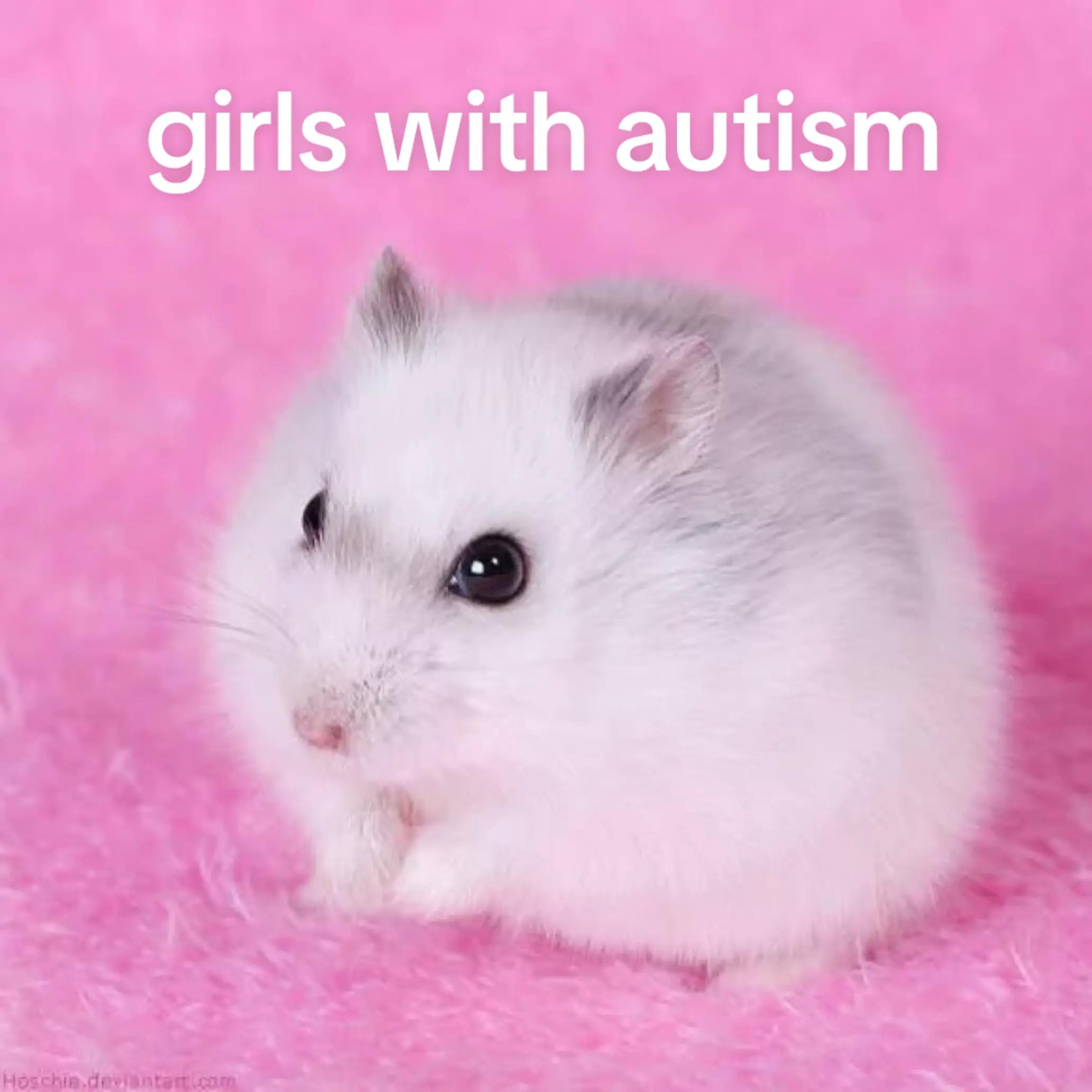@bunny
