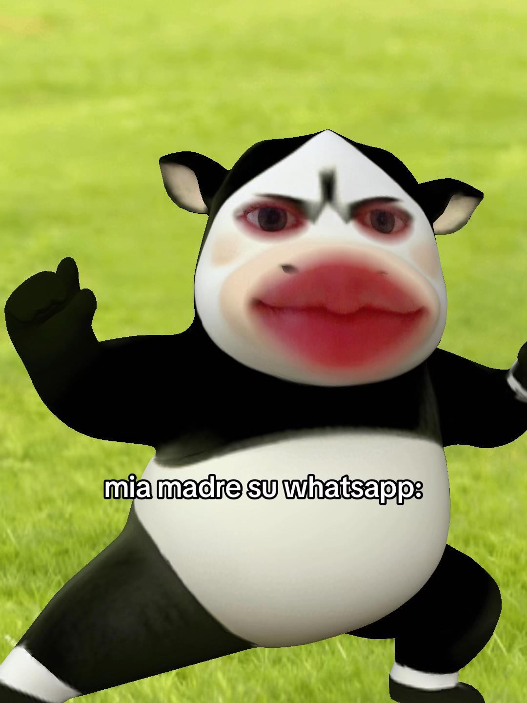 @ittssfraaa