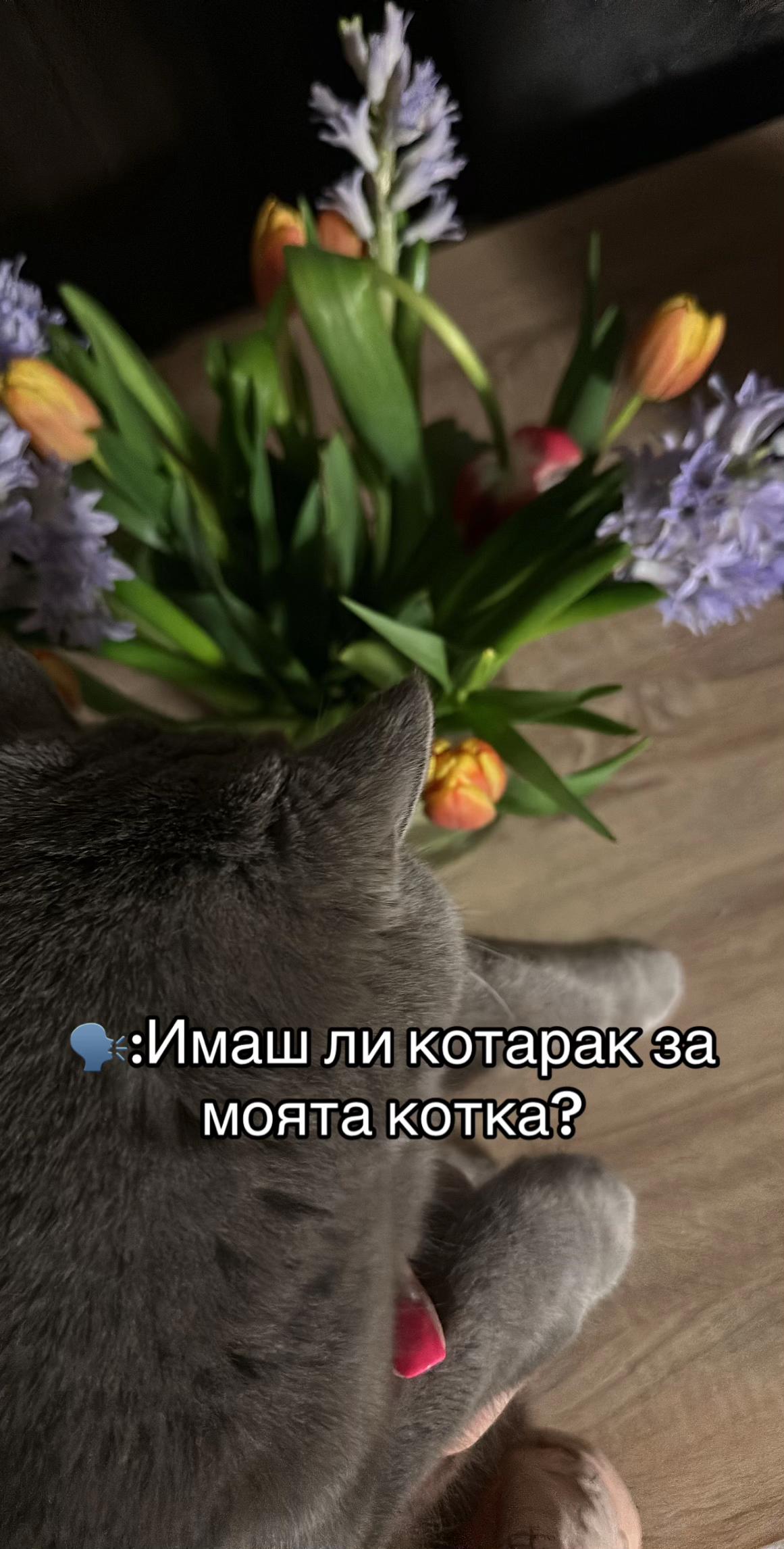 @ANNA NIKOLOVA🐆