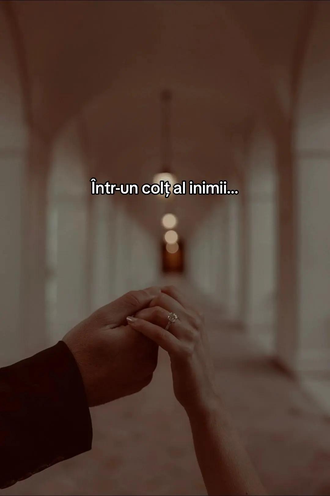 @❤️_🆃🅰🅽🅸🆄🆂🅷🅰🅰_1_🦁