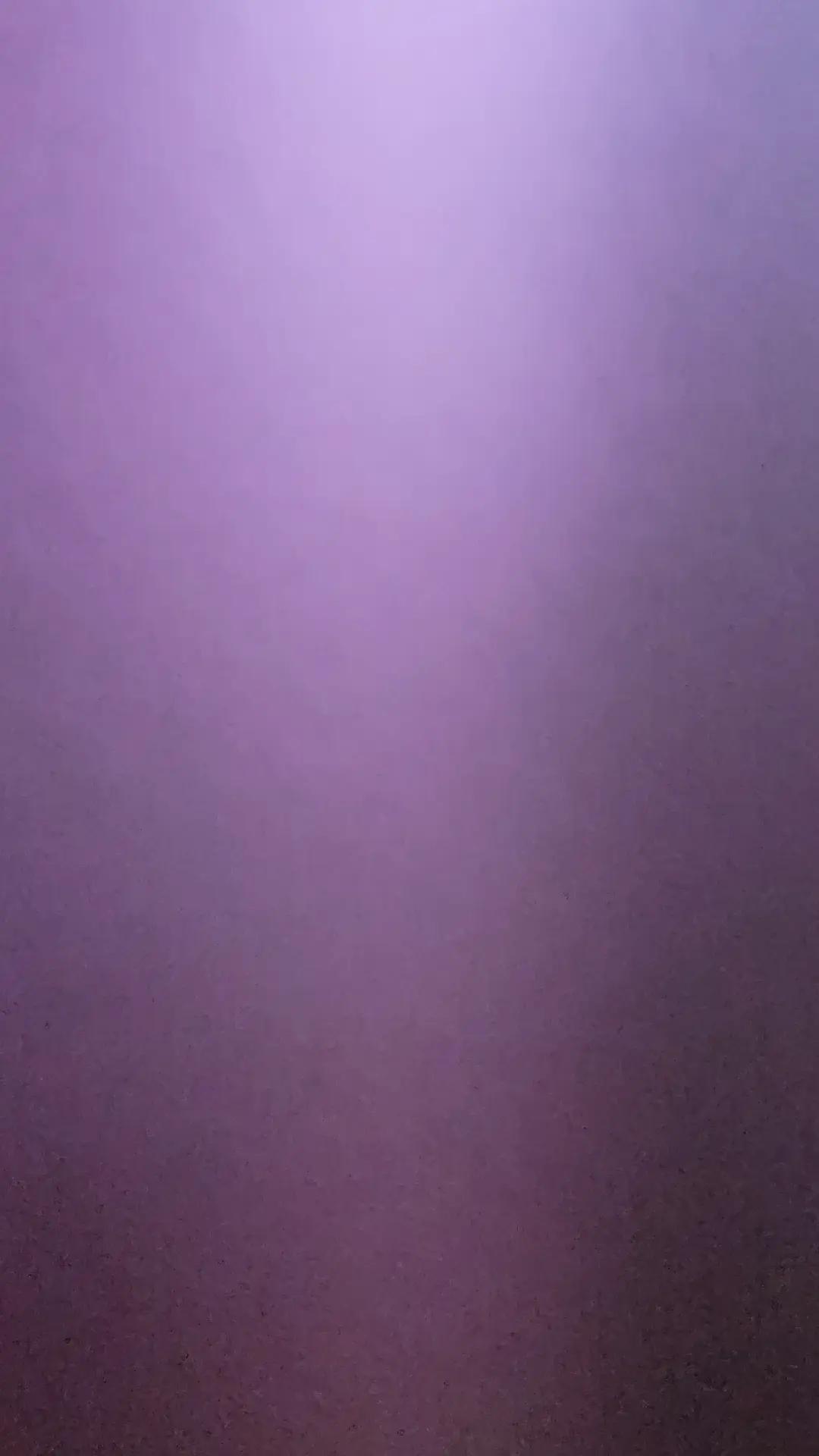 @MeMe 51 $Juicy$