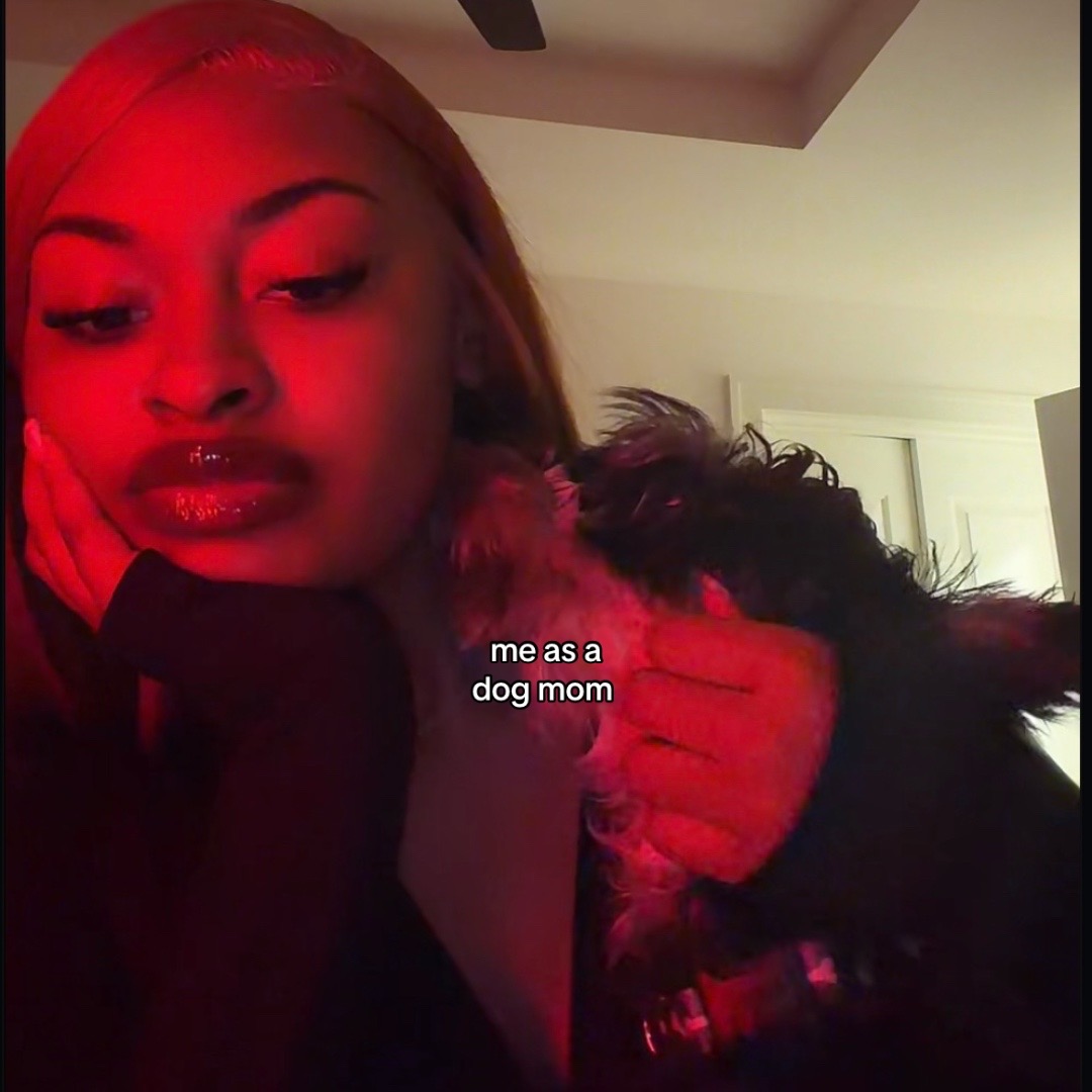 @allofkhia