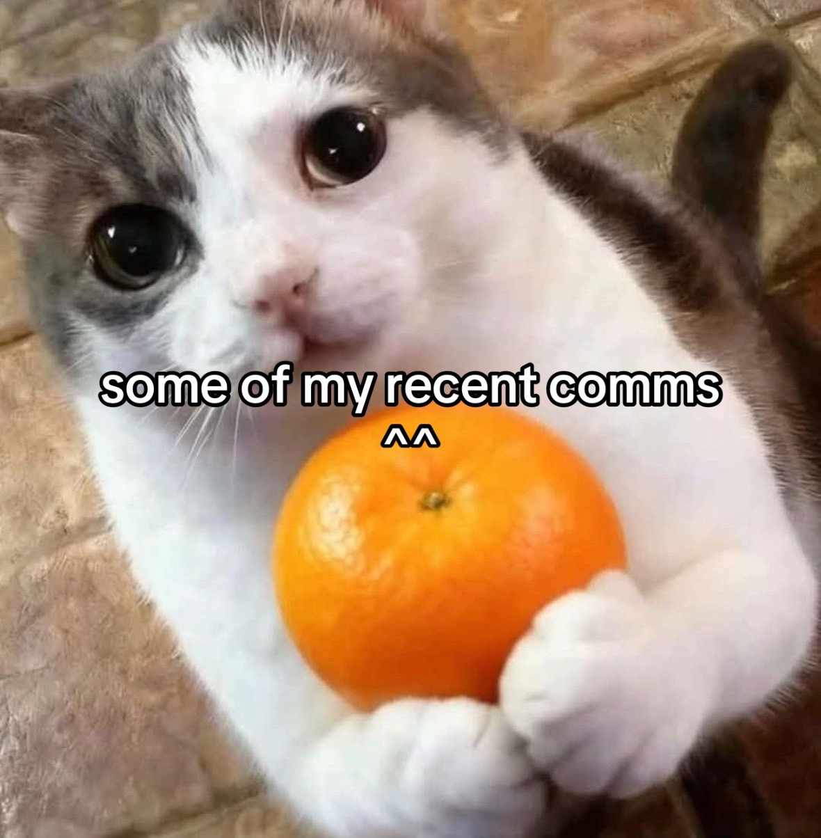 @myk [COMMS OPEN]