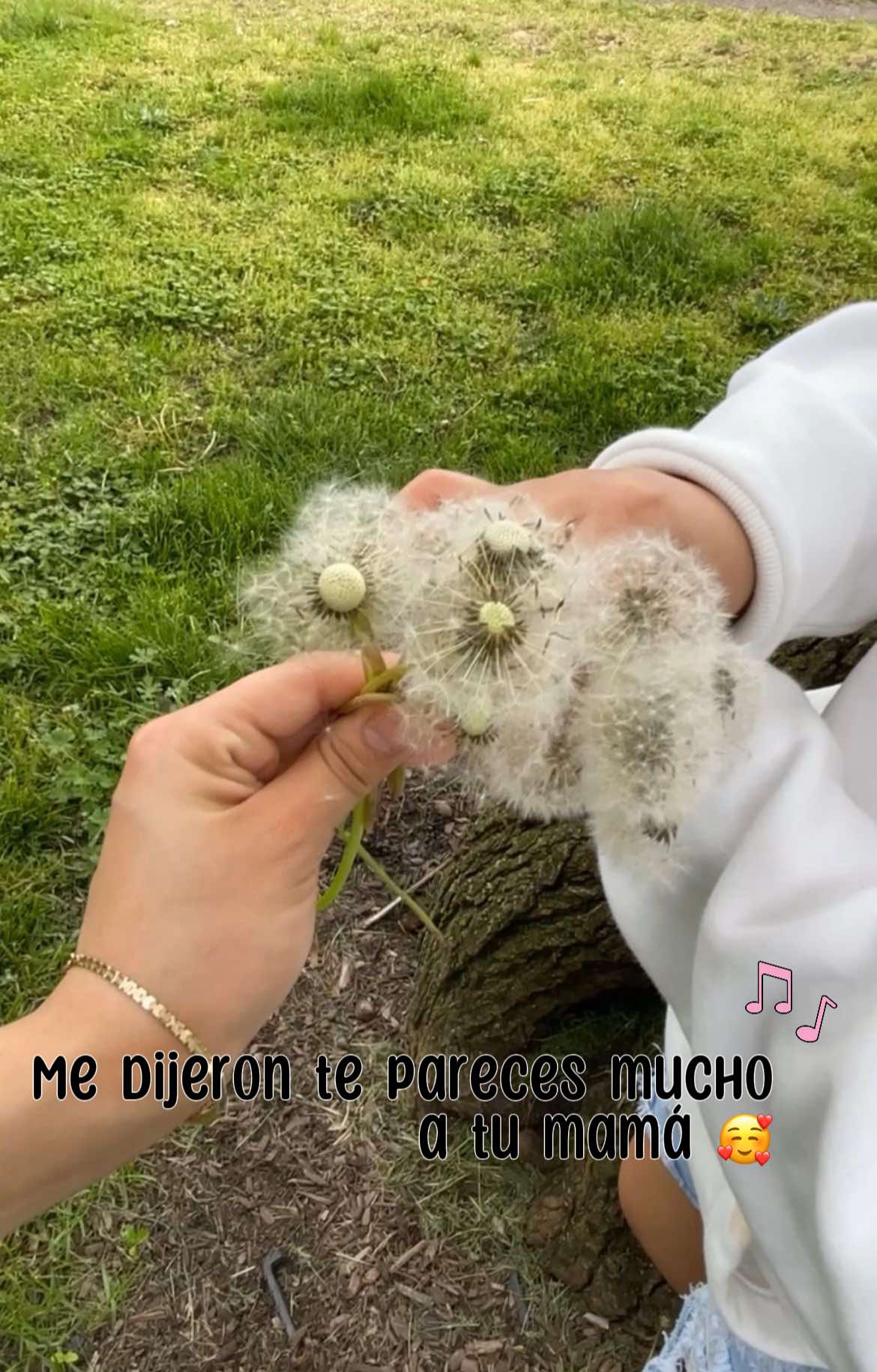 @fayrirvm30