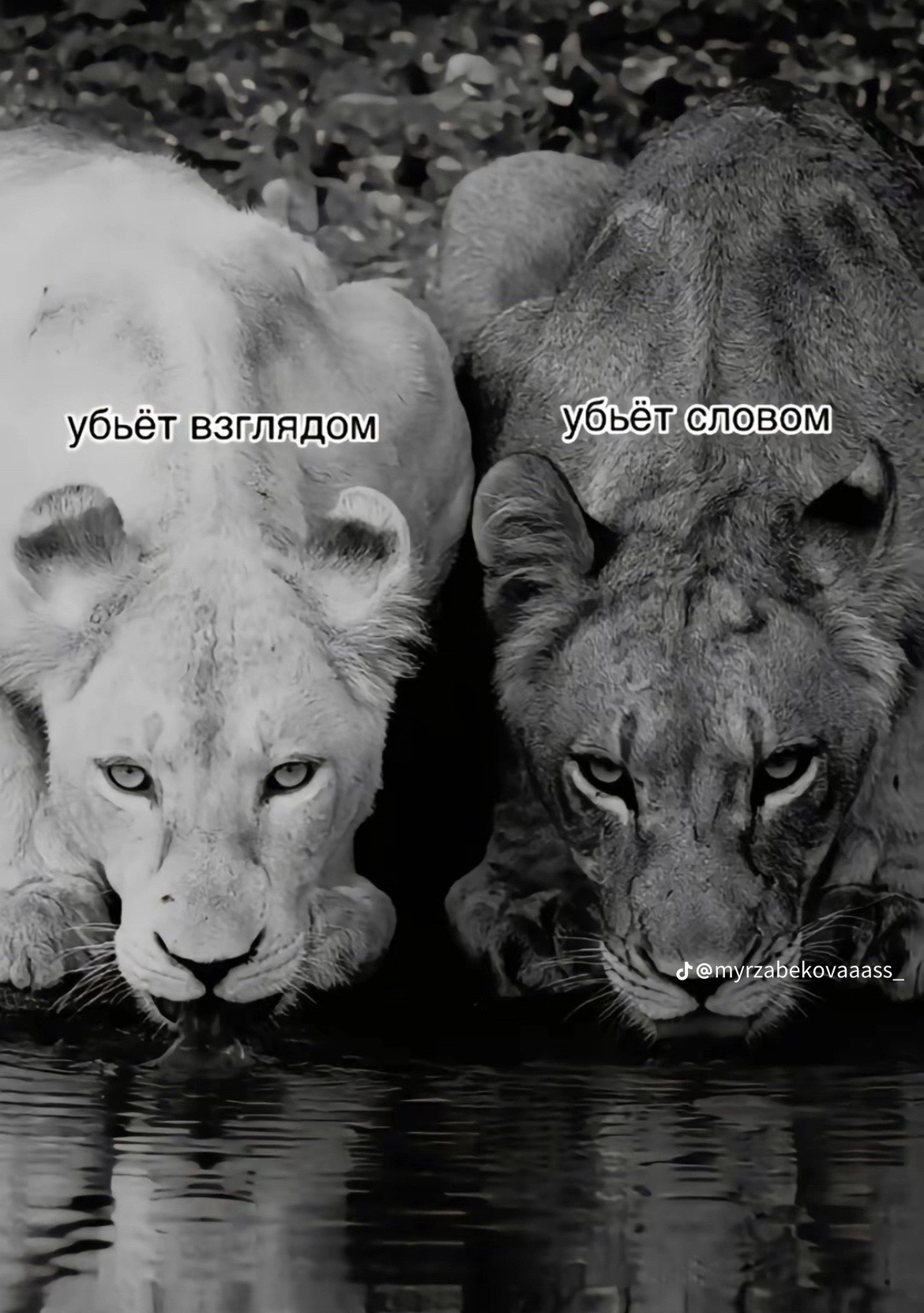 @Dariya