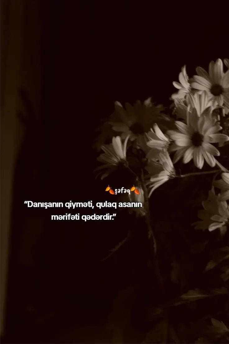 @🍂ŞƏFƏQ🍂