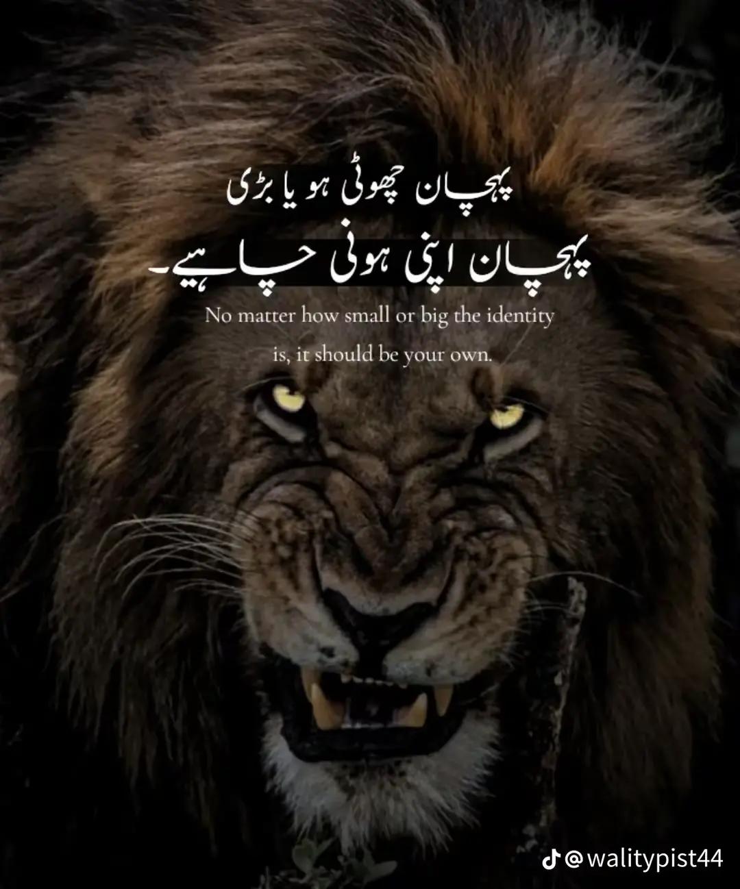 @@Ahmad ka yar hu ma bas 👑❣️
