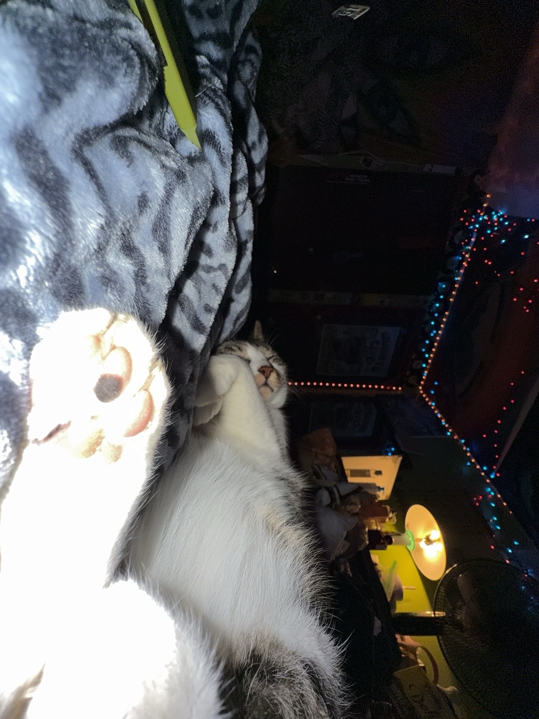 @lost and found