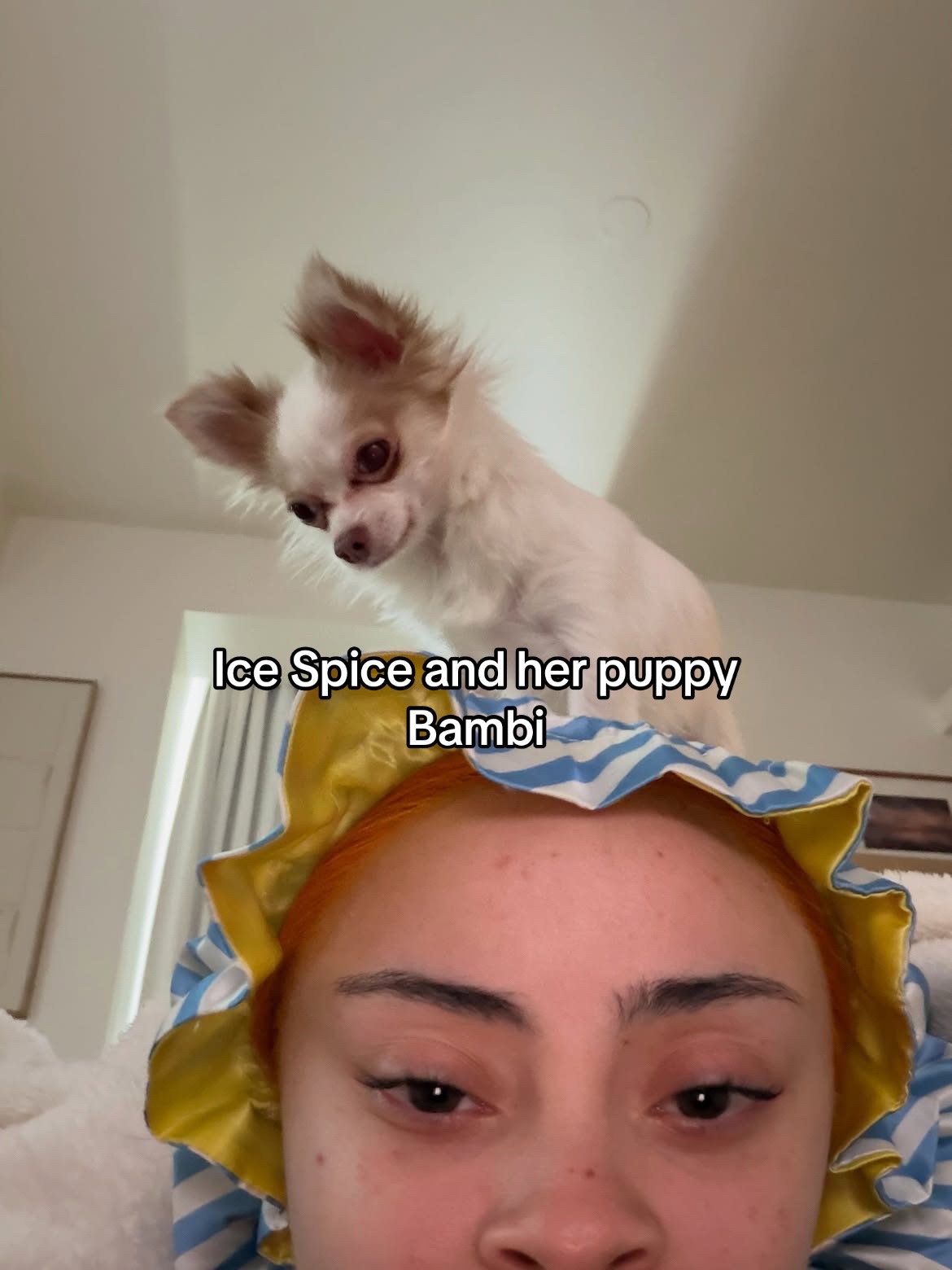 @icespicefever