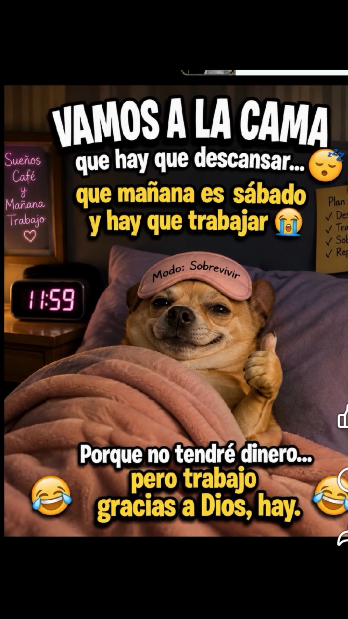 @Pedro Cruz