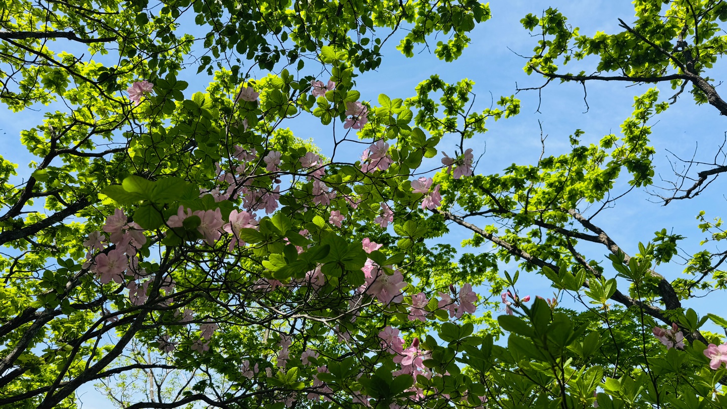 @매동산인