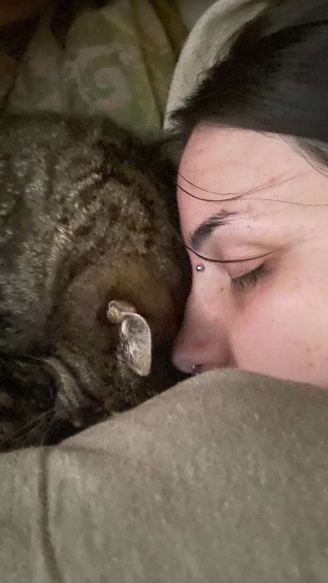 @🐈&zwj;⬛