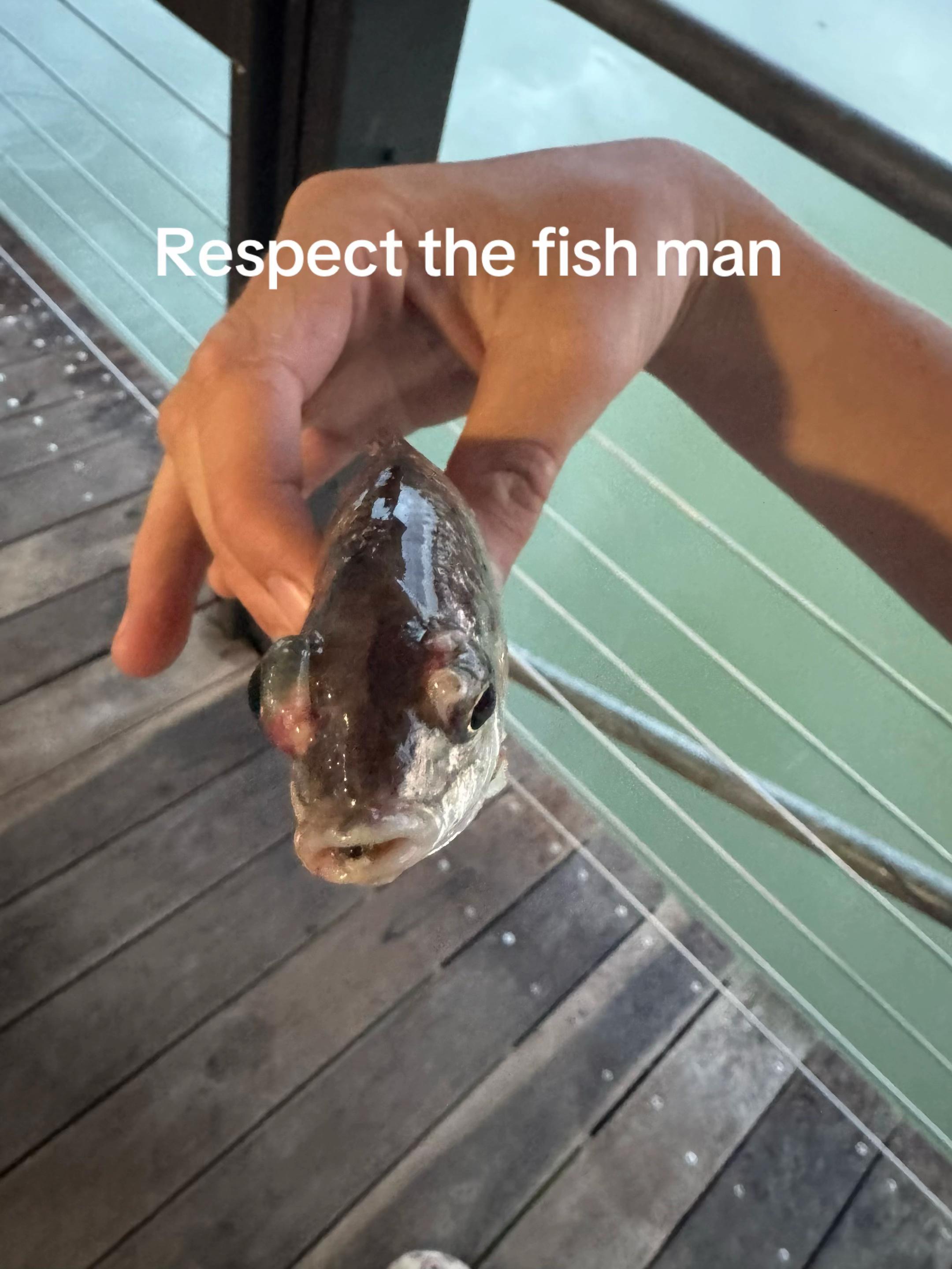 @Nate😮&zwj;💨🎣🍀😮&zwj;💨