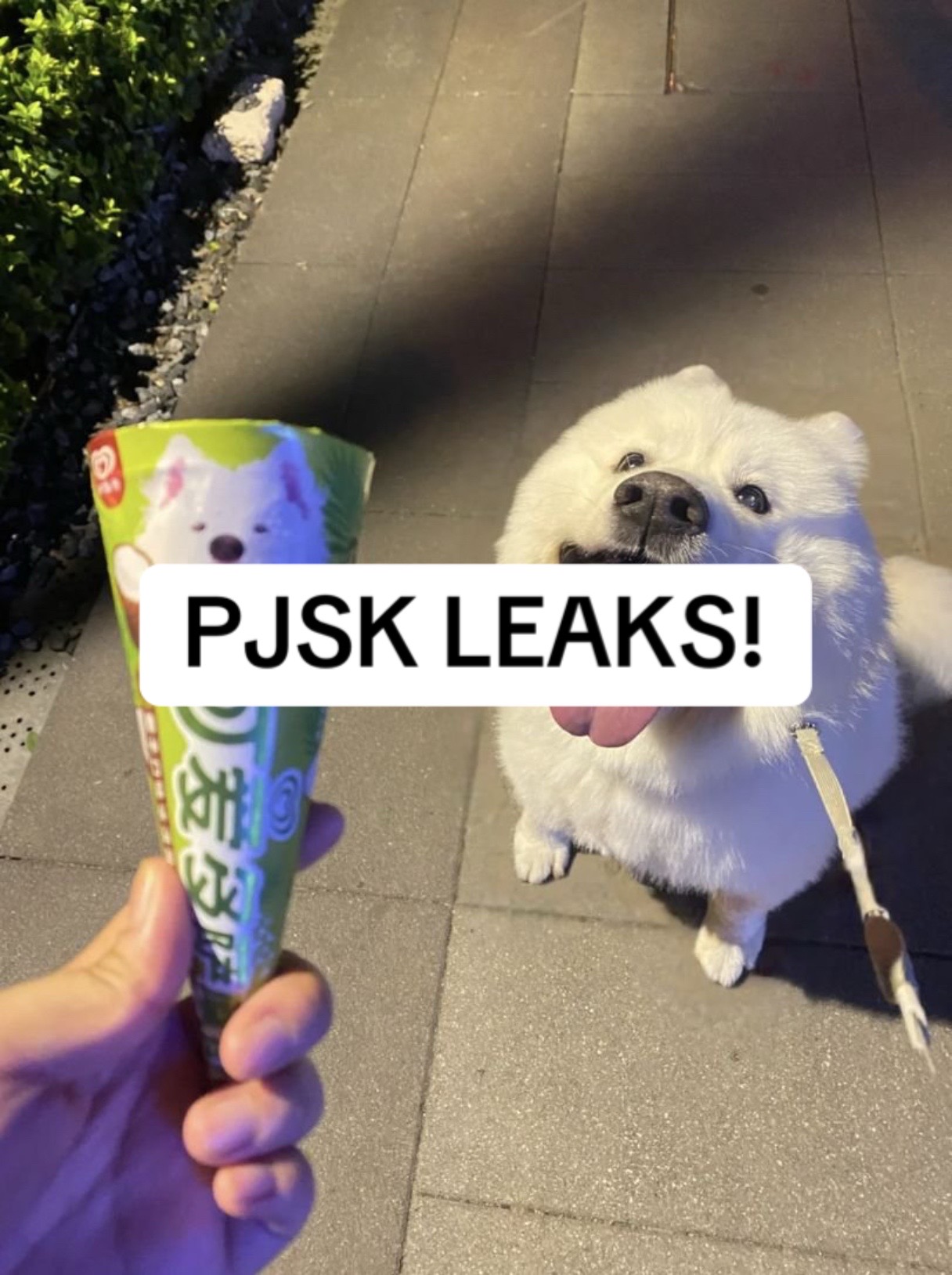 @Project sekai leaks!