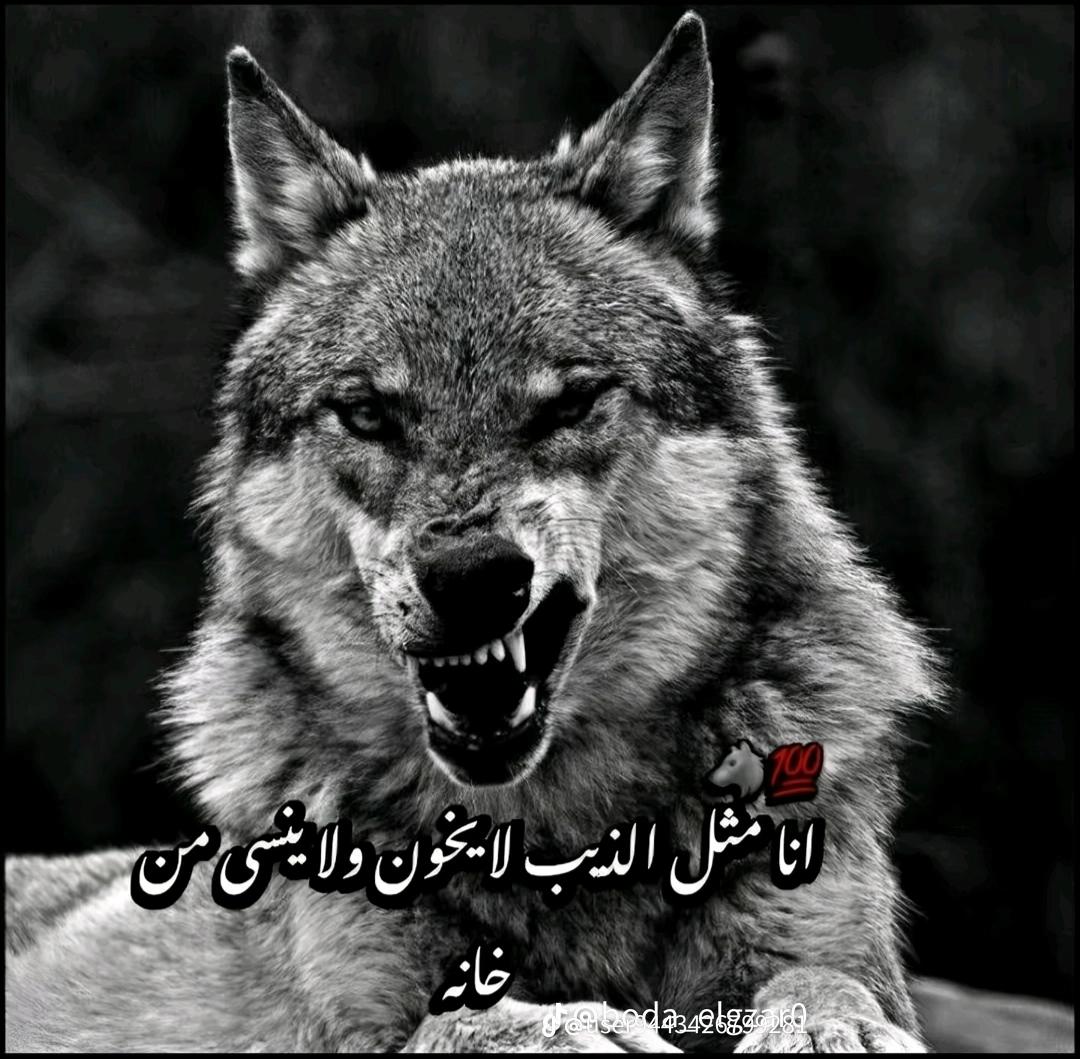 @يوسف أجن🥷🦁