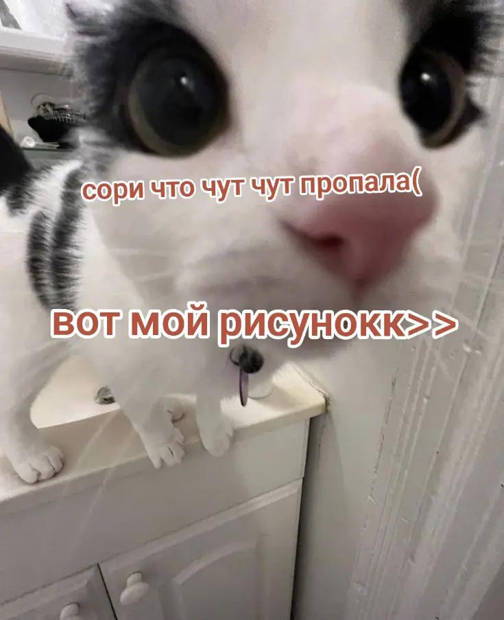 @aksii_