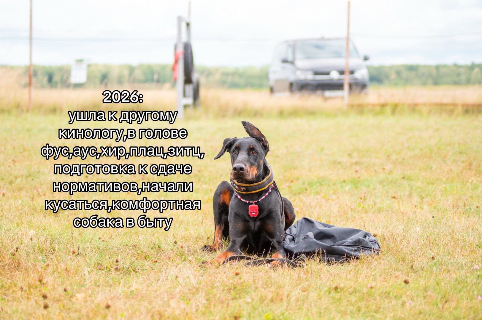@‼️тг: grandorf‼️