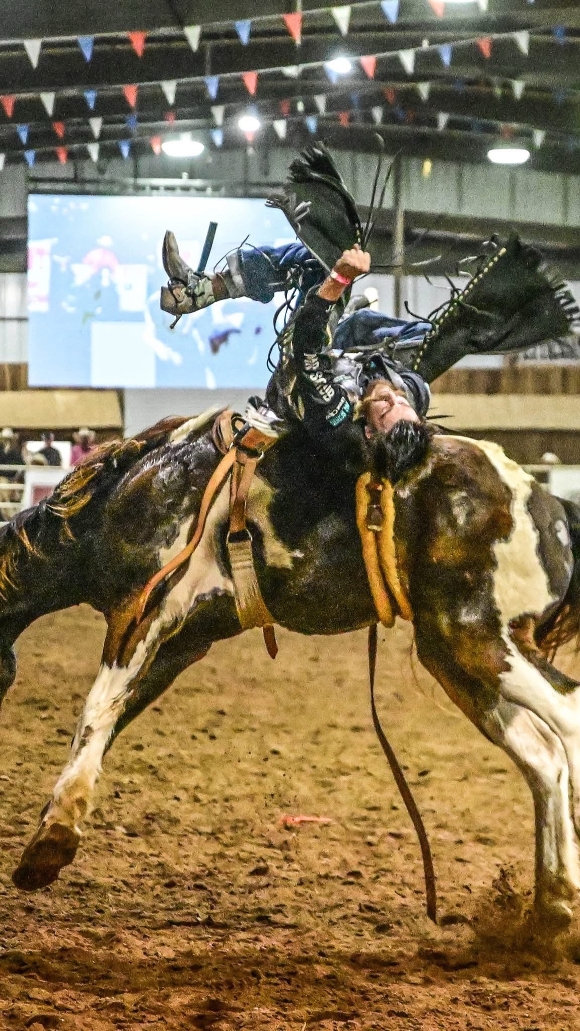 @Washington Parish Free Fair
