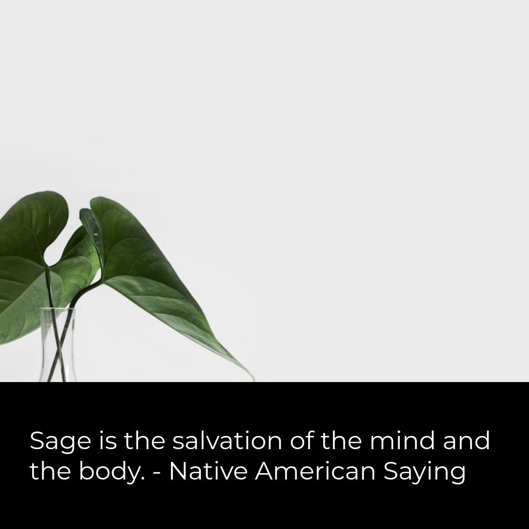 @ginsageincense