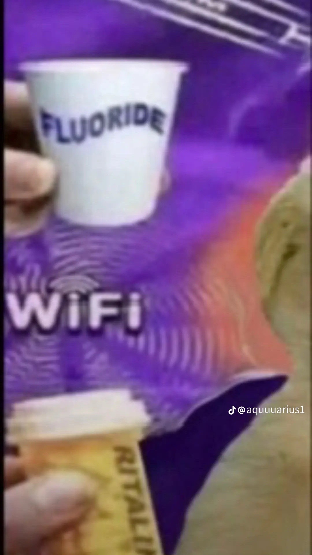 @ೋ❀❀𝓝𝓲𝓝𝓲✧༺✟༻✧