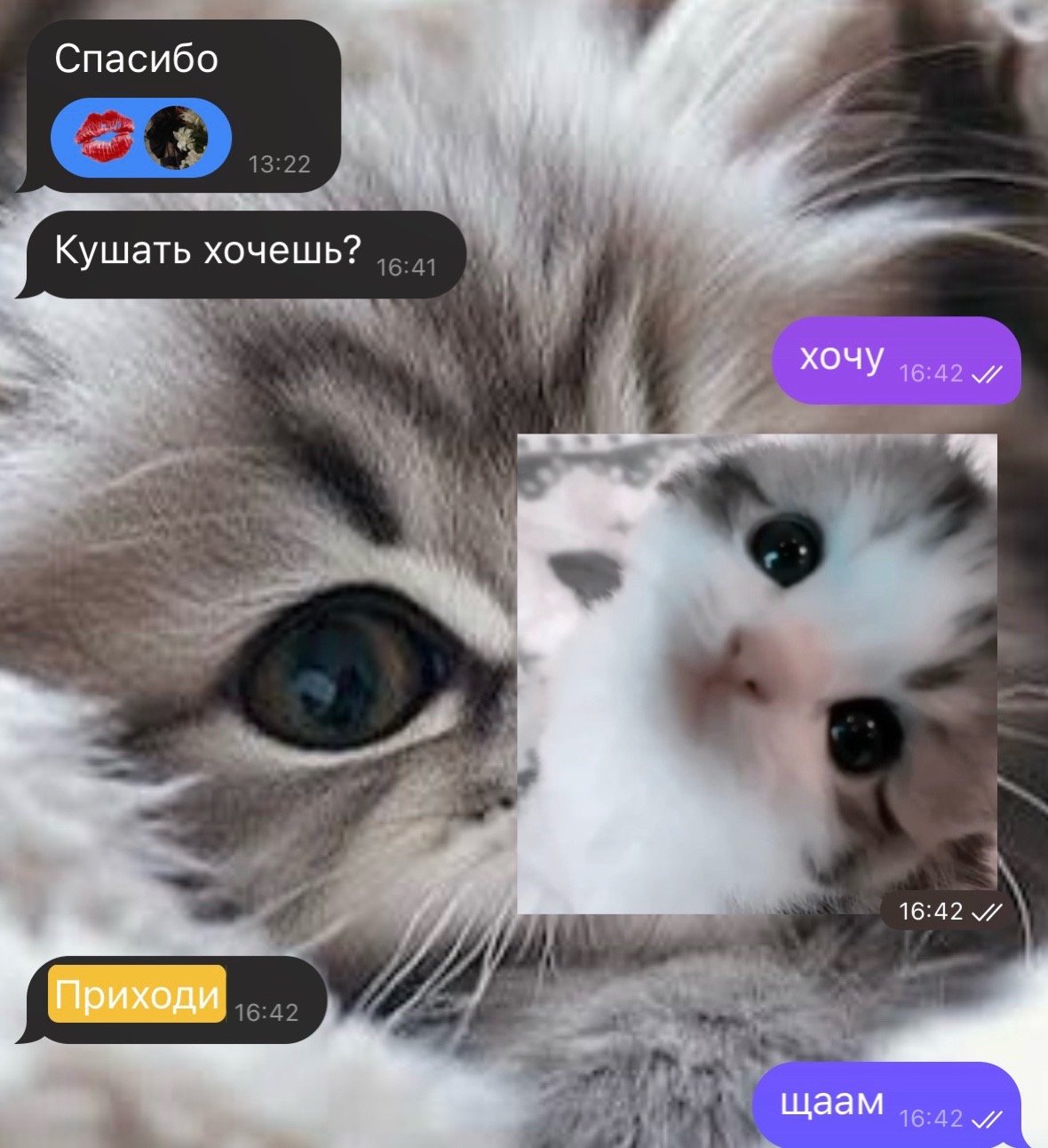 @venn.yw🐈⬛