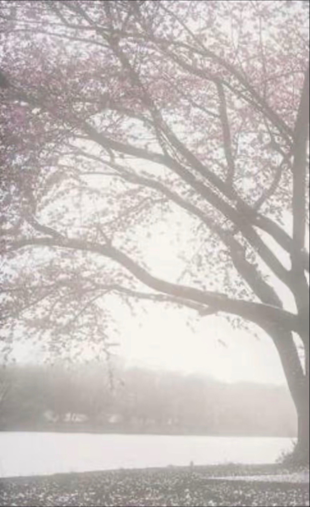 @kou.cc