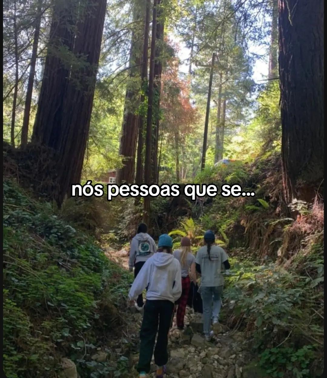 @popzudo