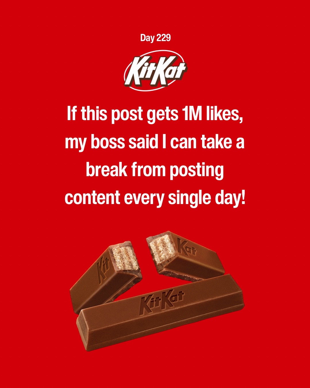 @Kit Kat