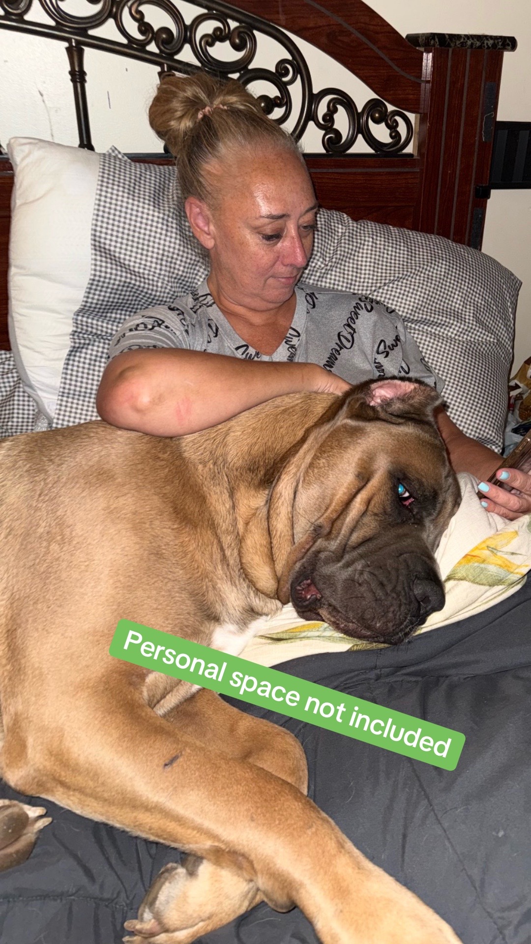 @AandMCaneCorsos