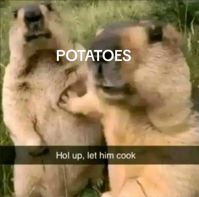 @dude_on_tiktok
